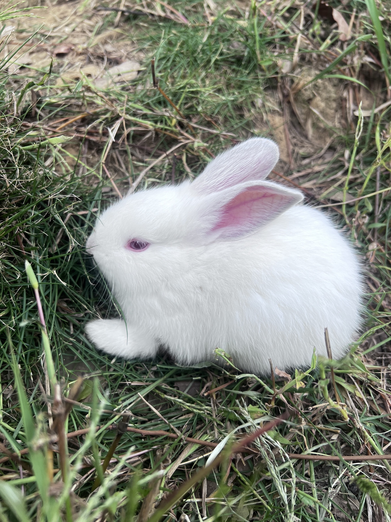 光谷动物牧场·昆虫馆·阳光沙滩旅行图片 2