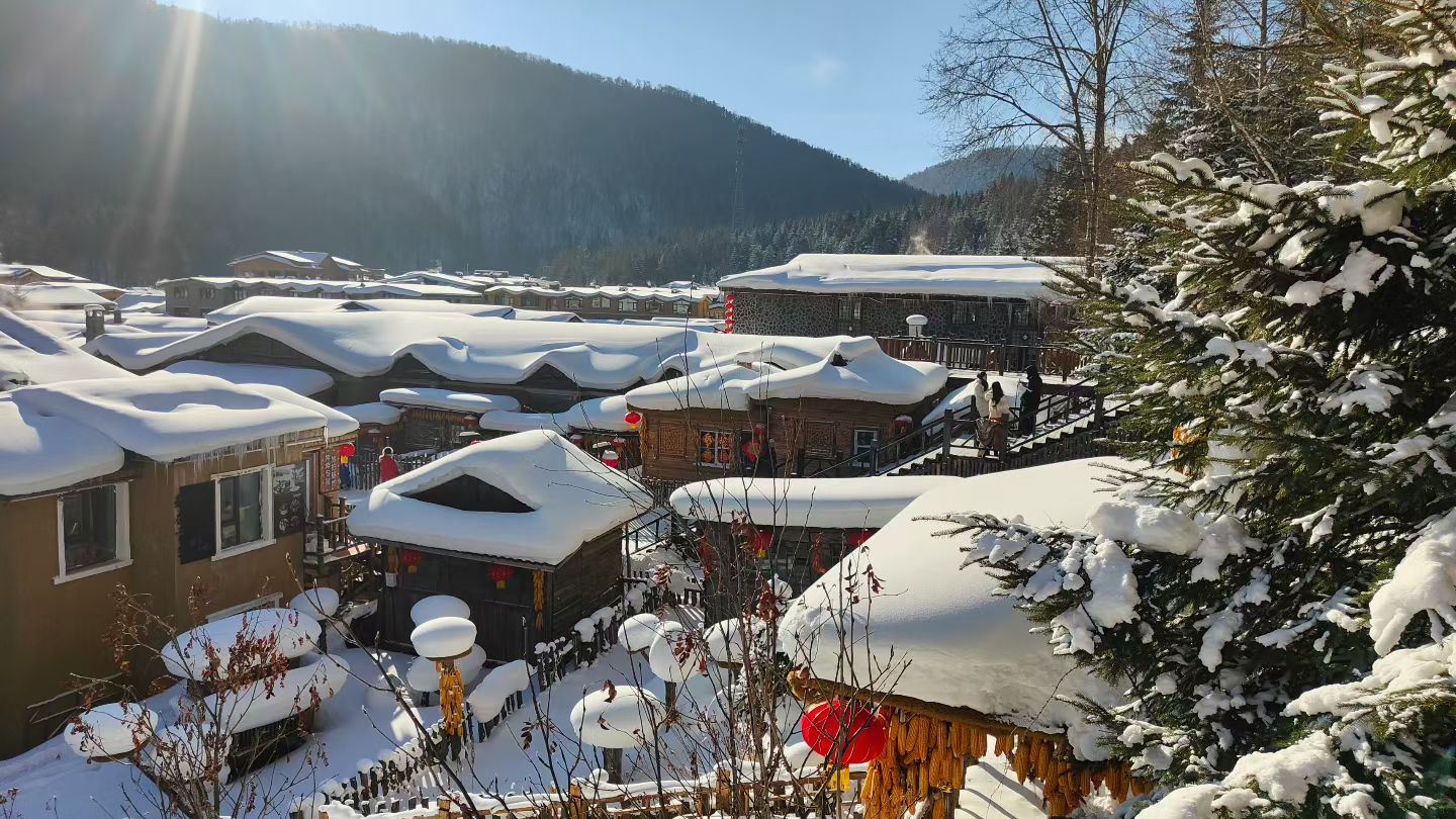 雪乡国家森林公园-双峰林场