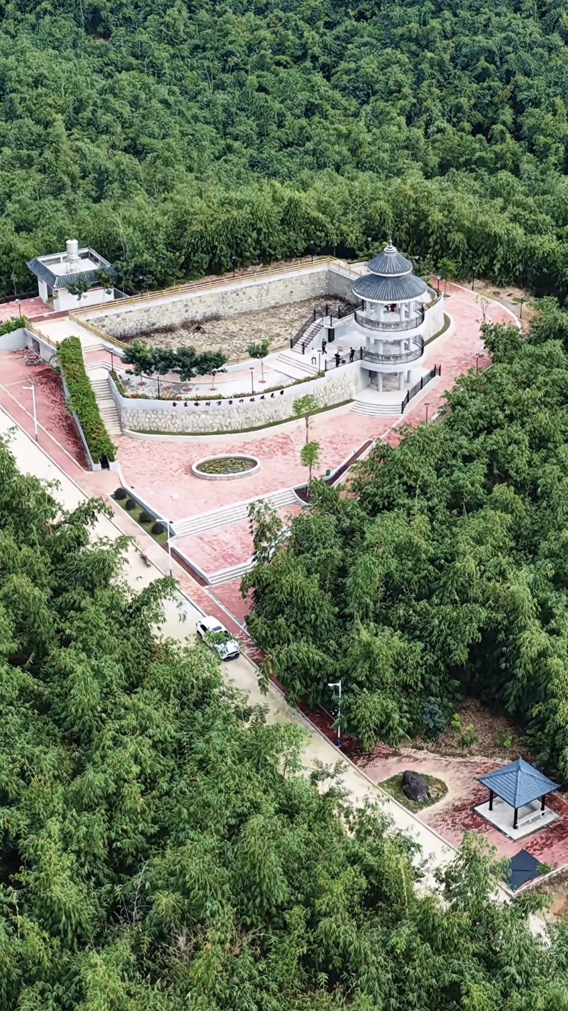 金东岭村万亩竹林观光带旅行图片 2
