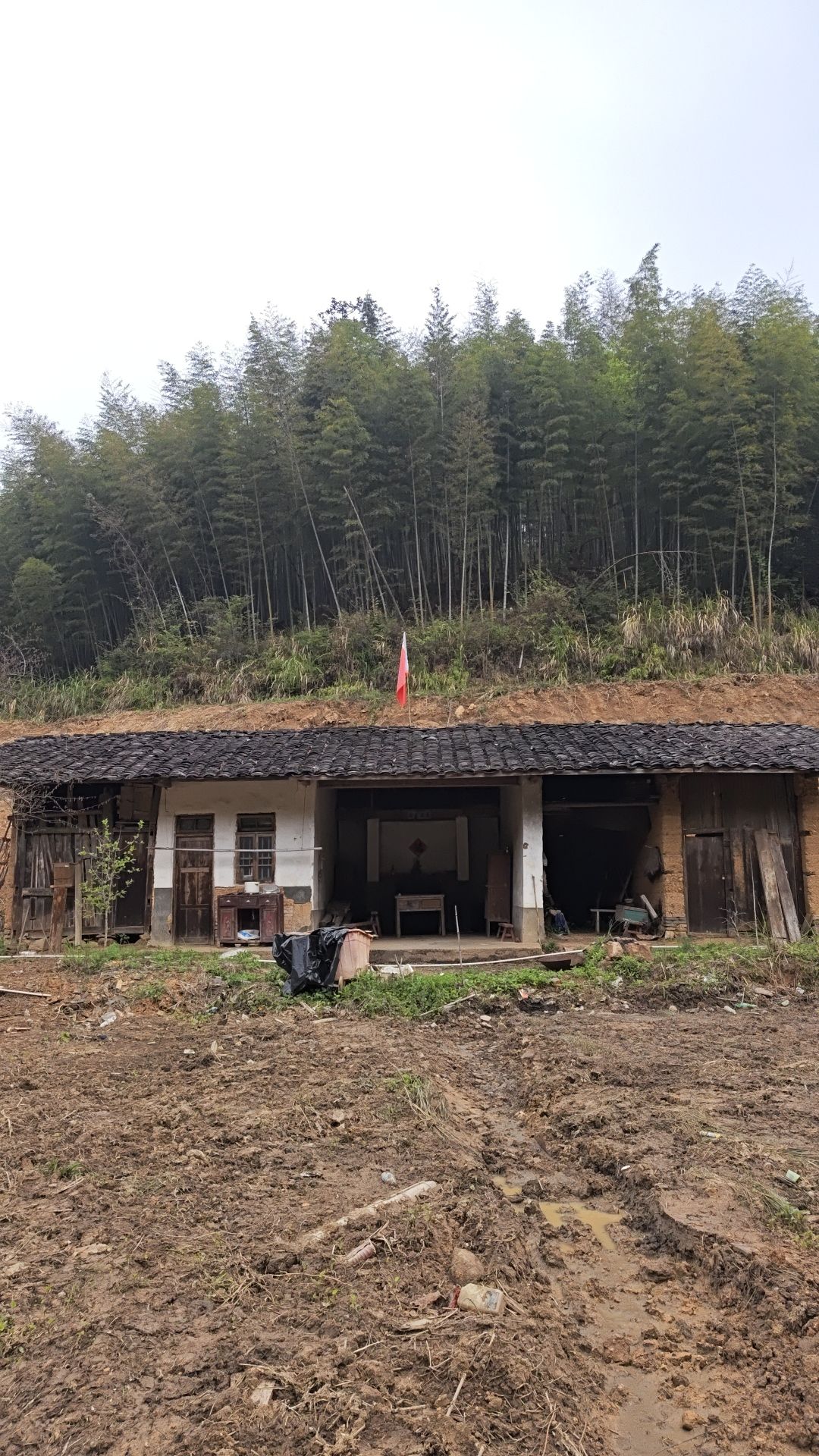 矮岭曾氏祖祠实景照片