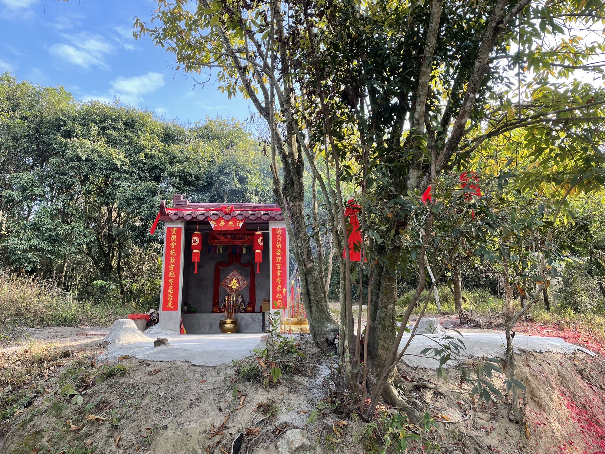 保护树伯公庙实景照片