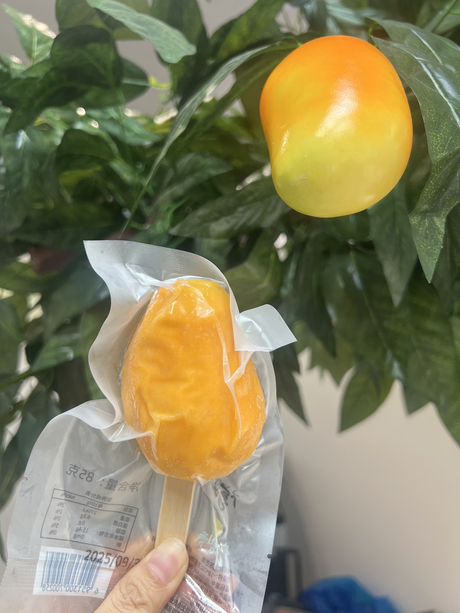乡上桂圩.荔浦芋头文化美食街旅行图片 2