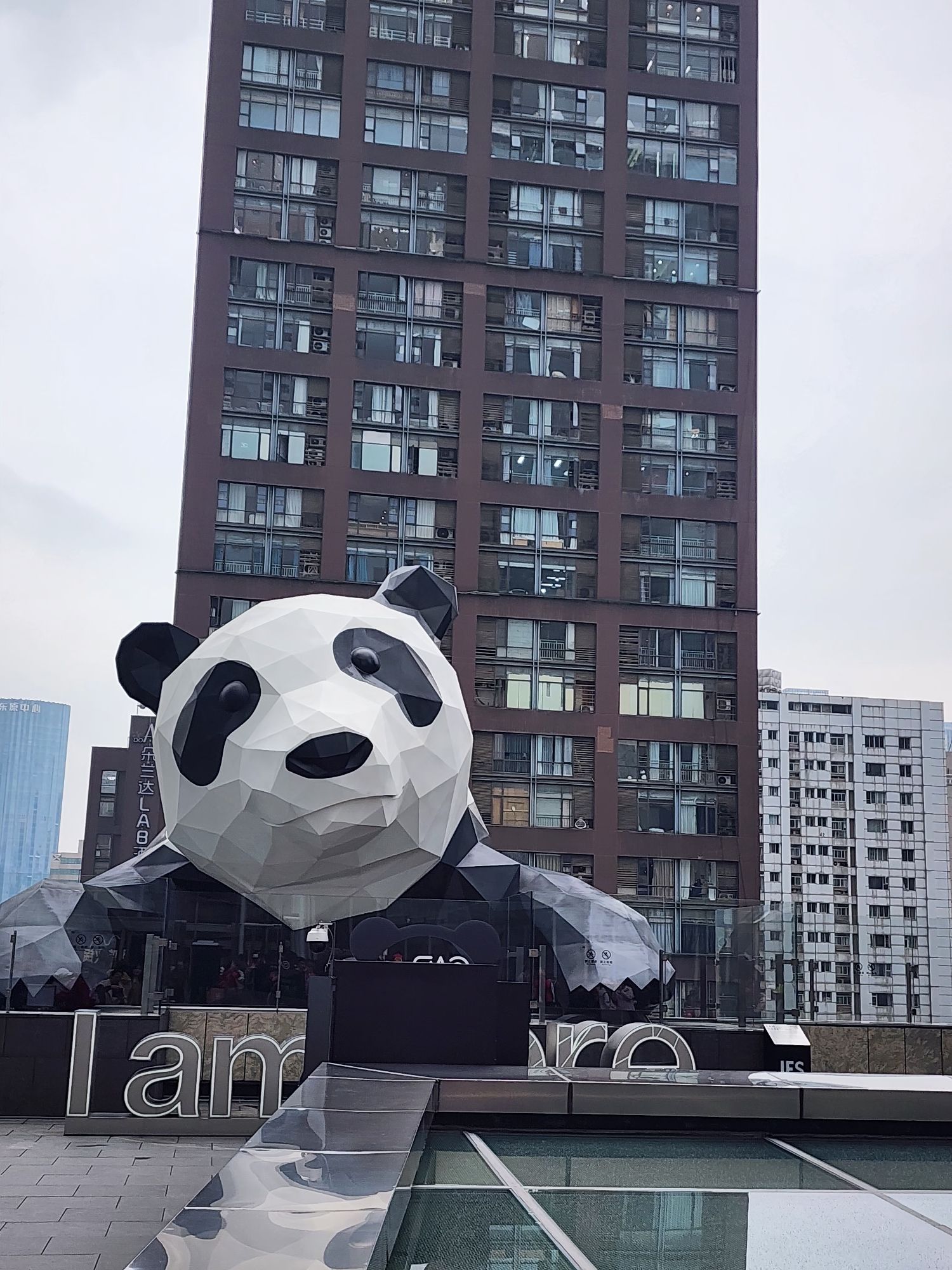 爬墙熊猫旅行图片 2