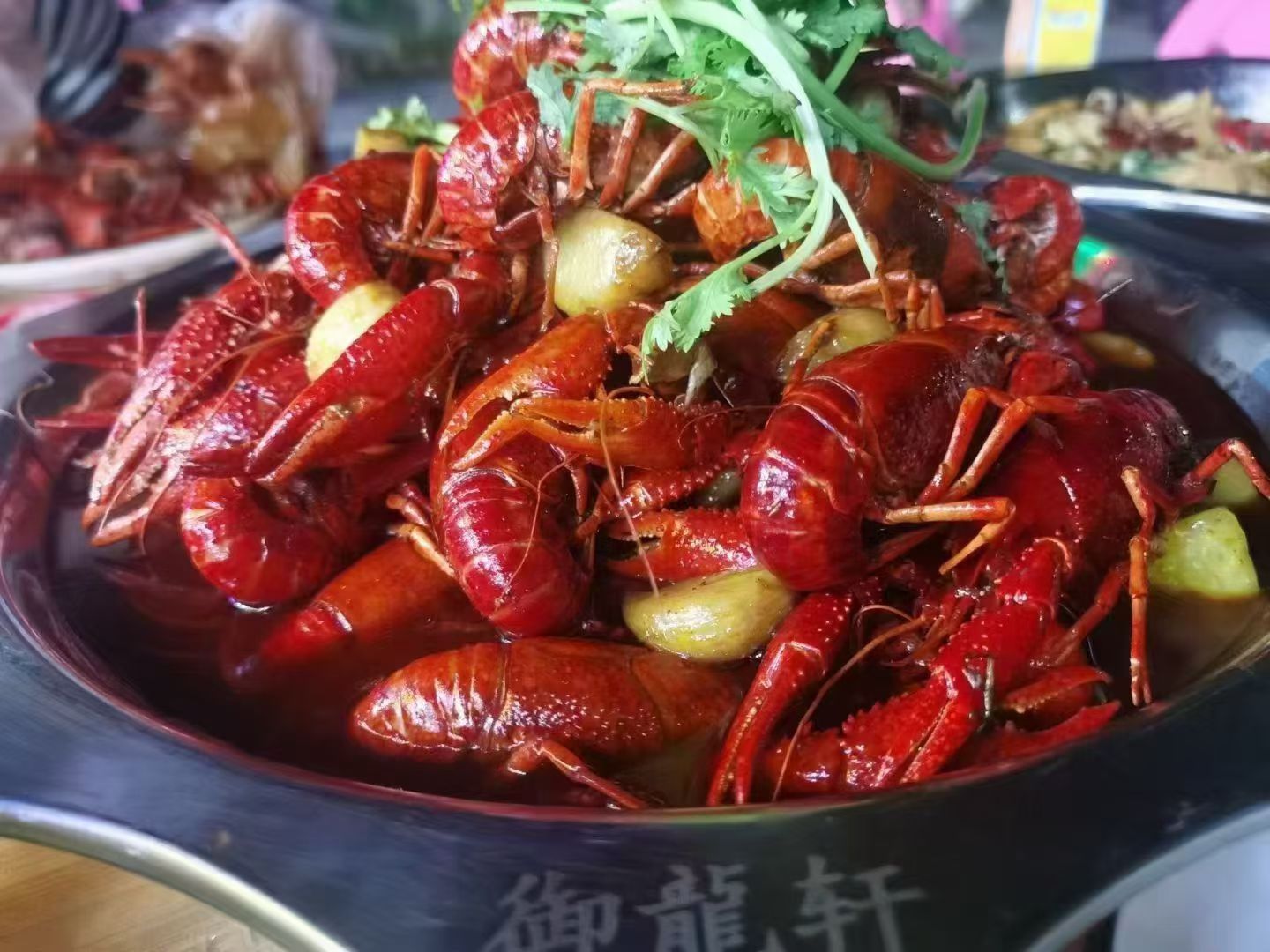 御龙轩