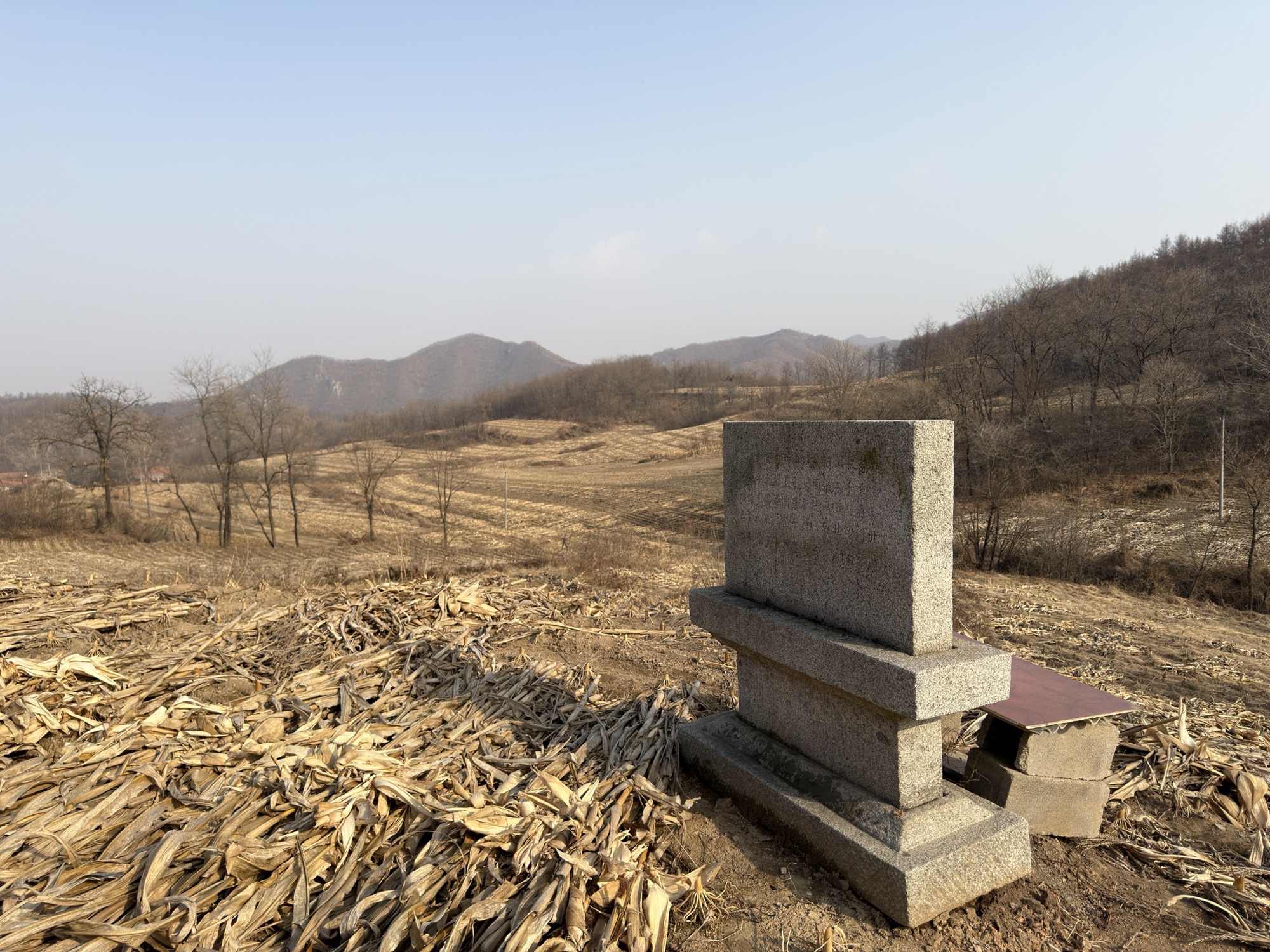 卧龙山山城遗址 3
