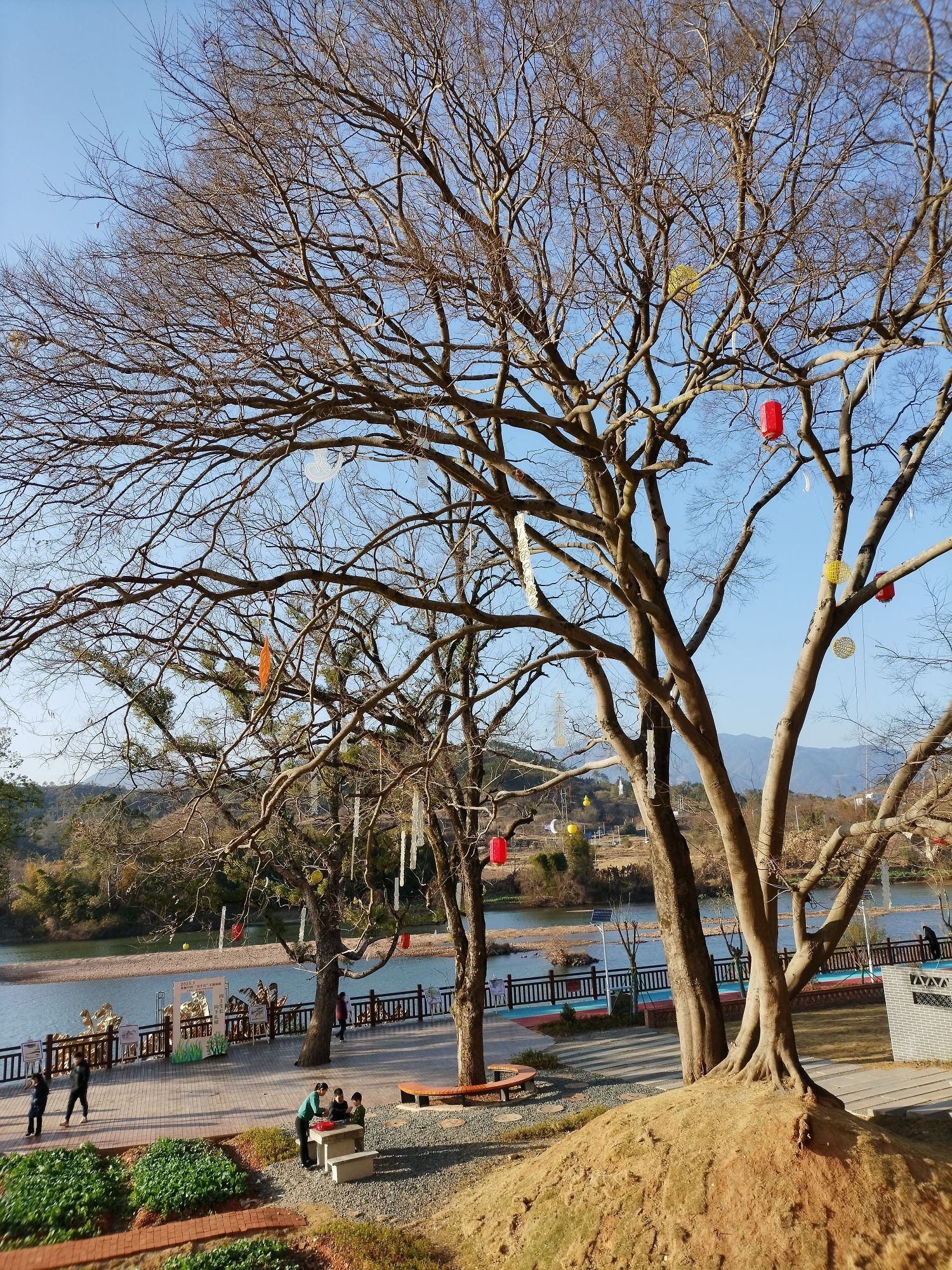 马市樟树碧道公园旅行图片 3