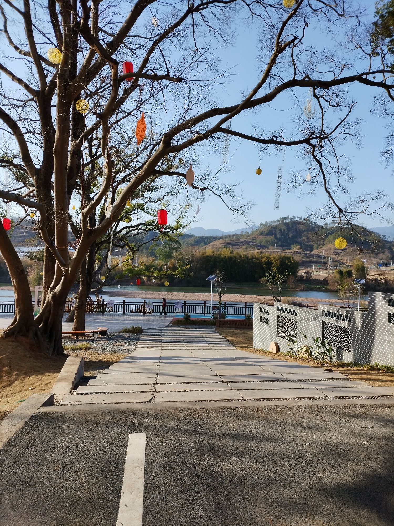 马市樟树碧道公园旅行图片 2
