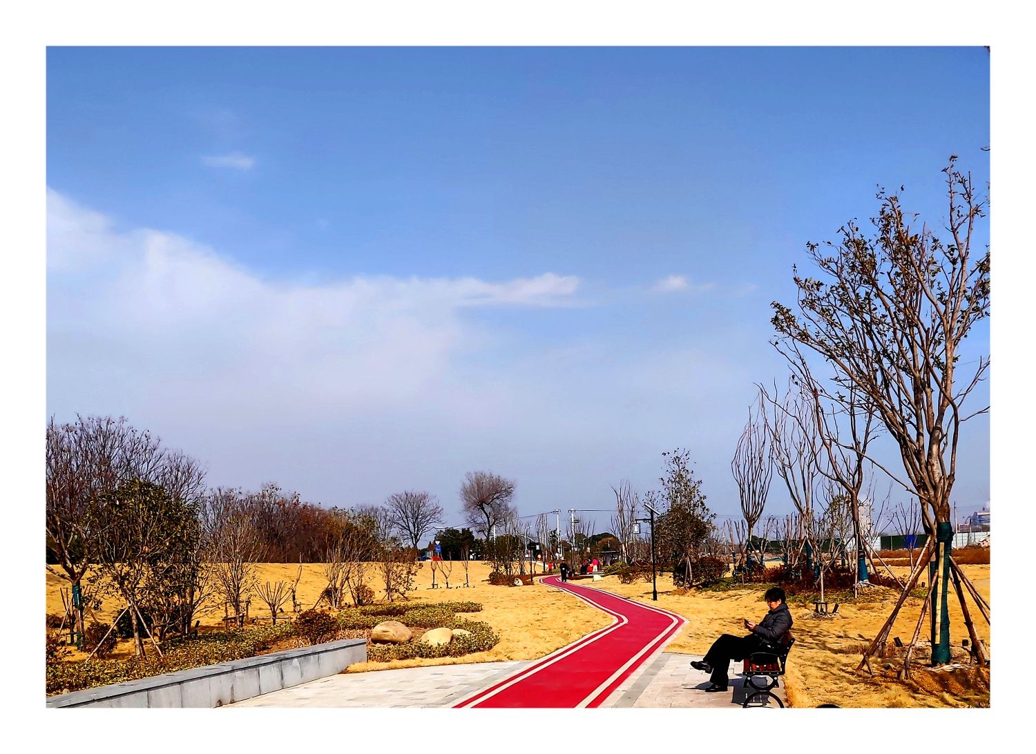 六姊妹游园旅行图片 3