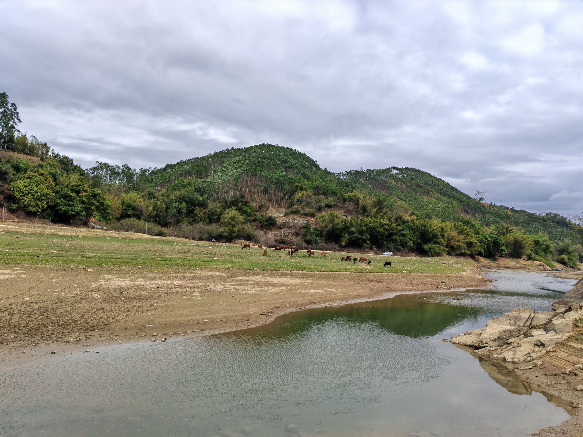 大坪镇南方大草原旅行图片 2