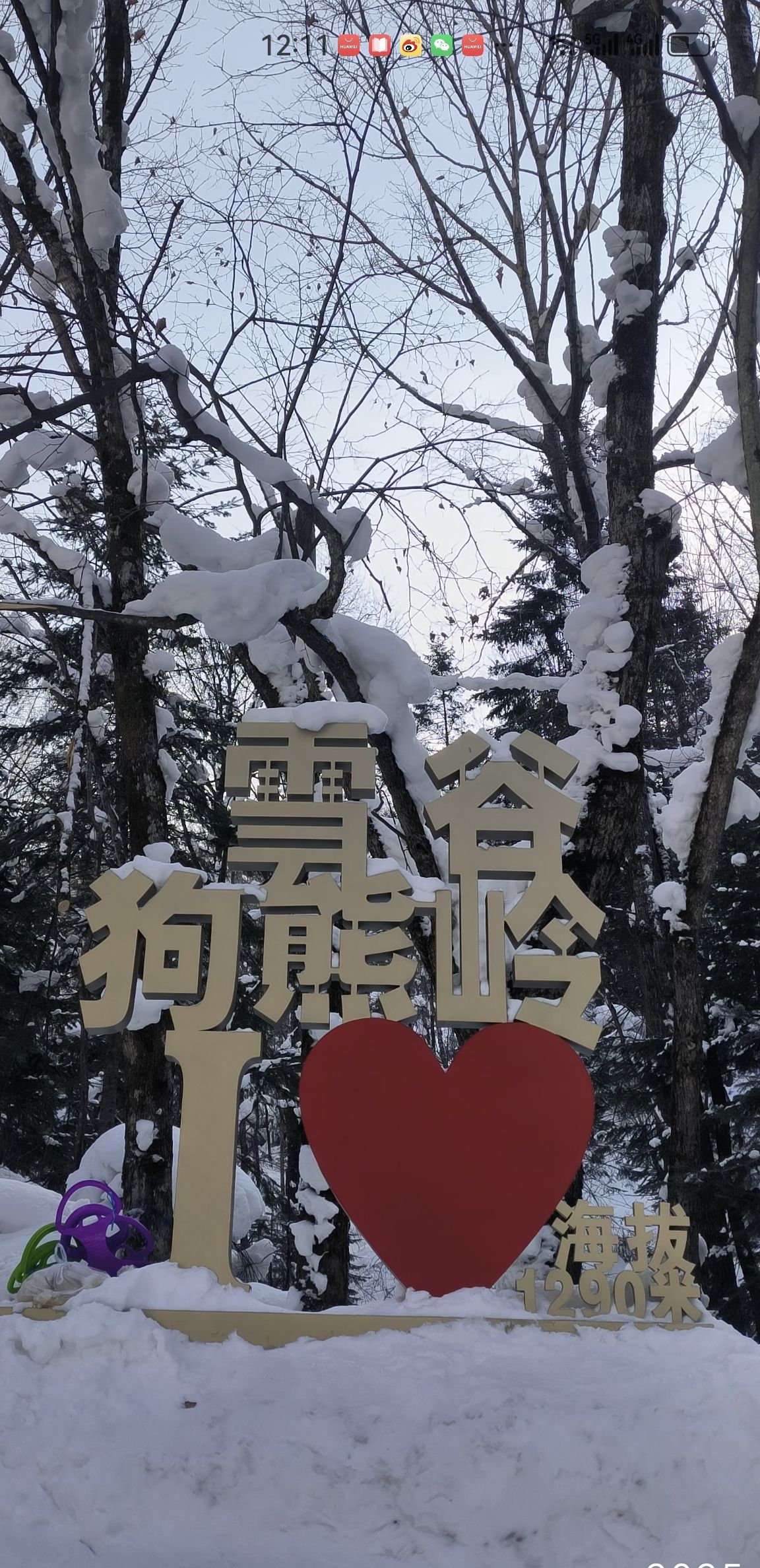 雪谷狗熊岭旅行图片 1