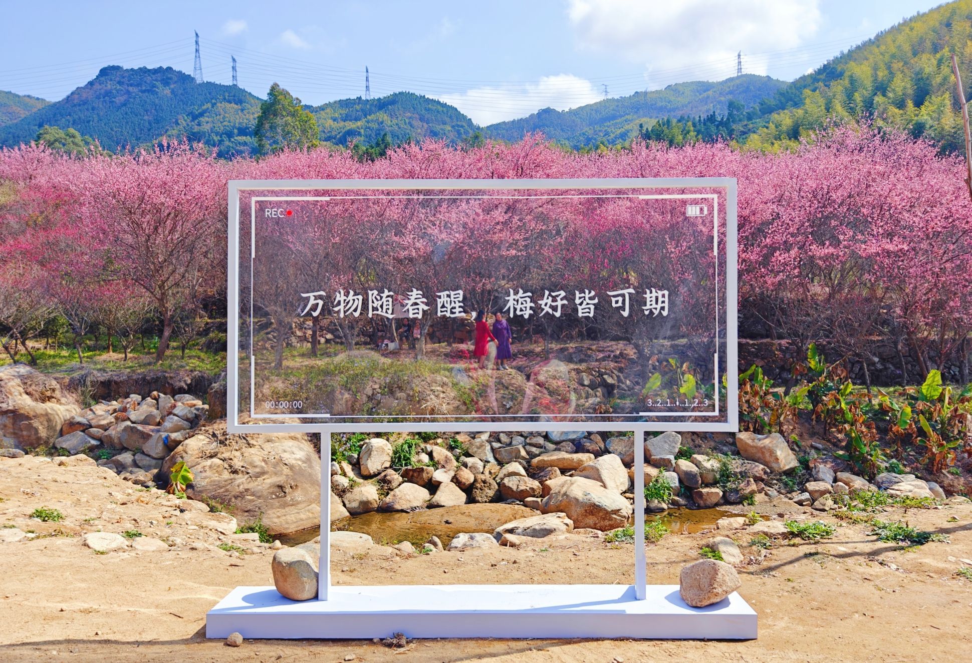 福州三峰梅花园旅行图片 1