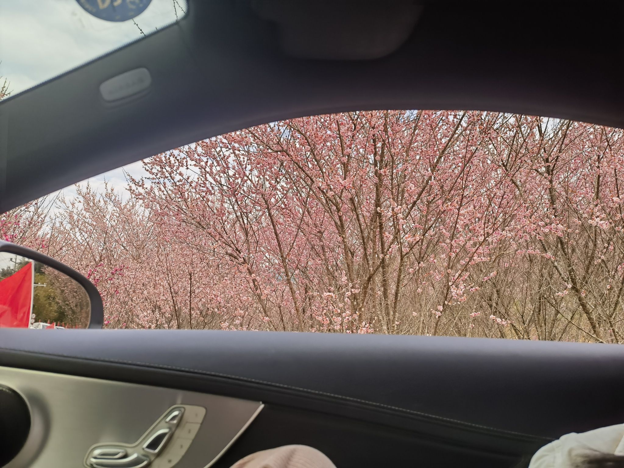 福州三峰梅花园旅行图片 1
