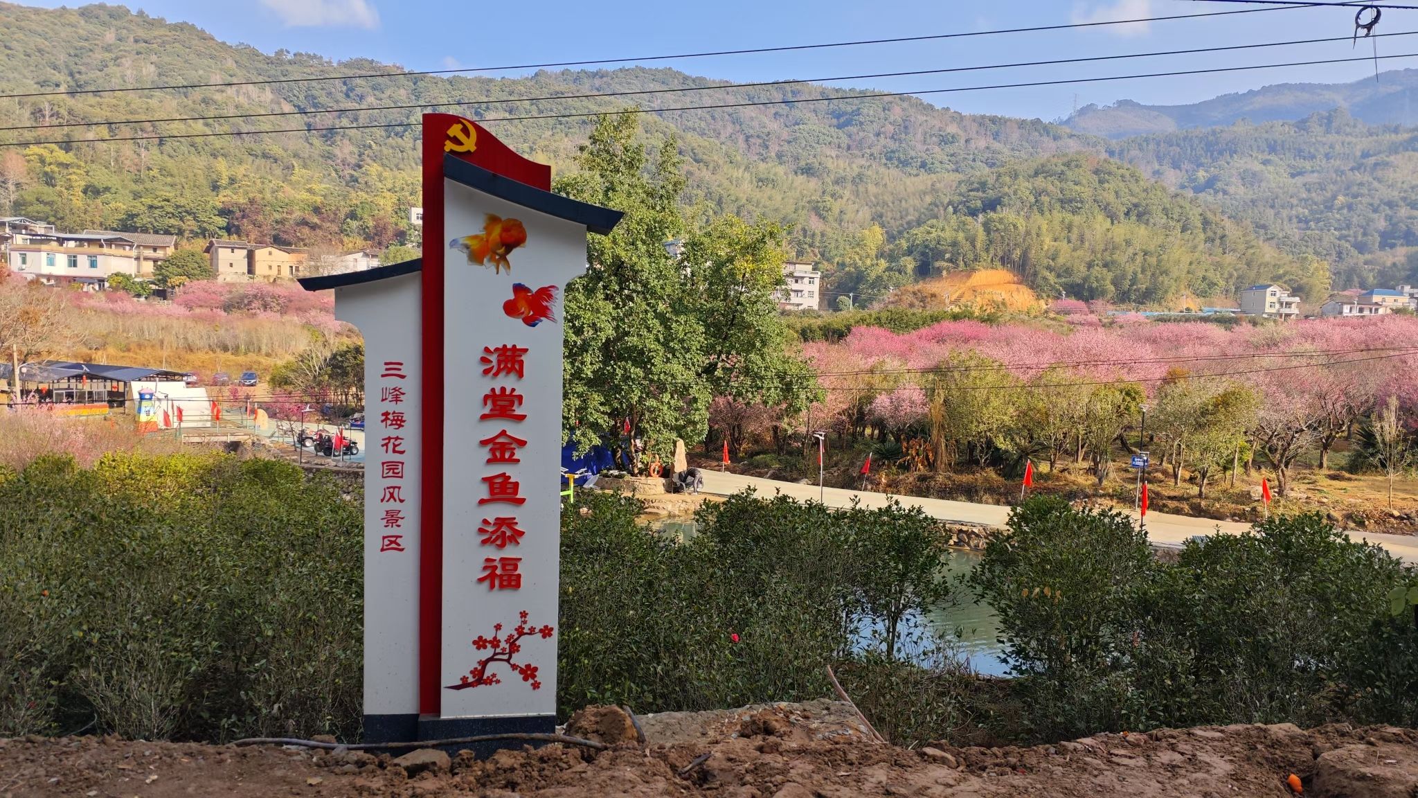 福州三峰梅花园旅行图片 3