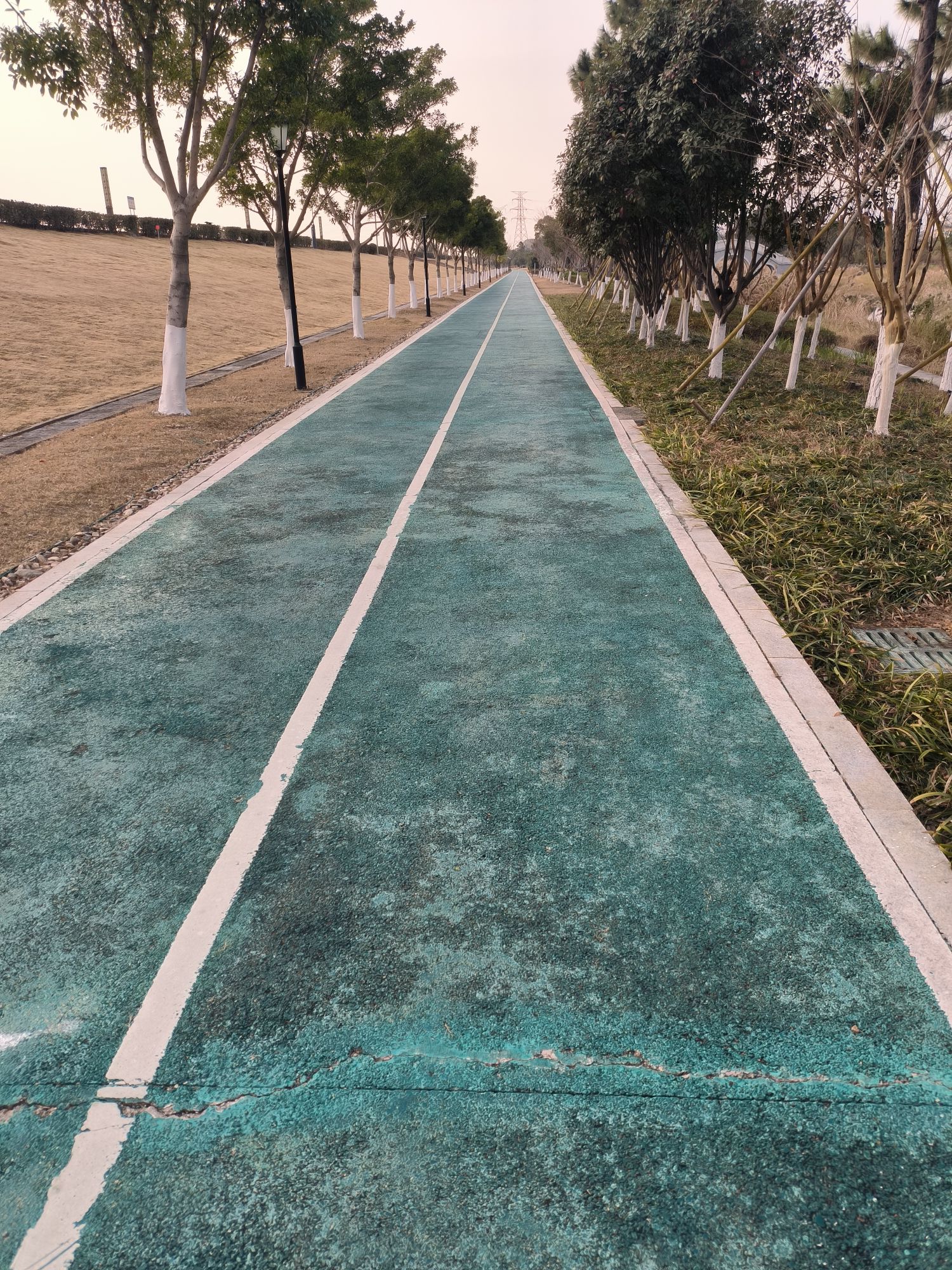 灵昆南堤滨江公园旅行图片 3