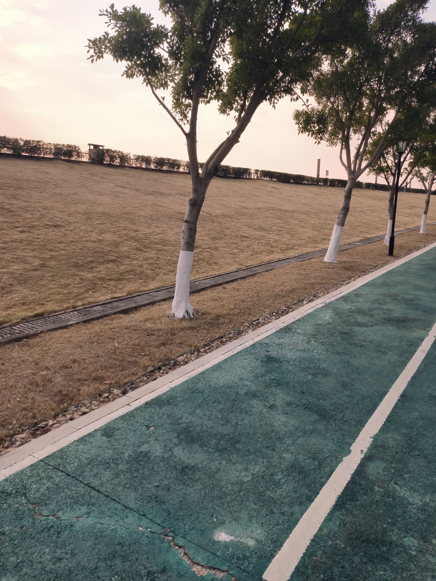 灵昆南堤滨江公园旅行图片 2