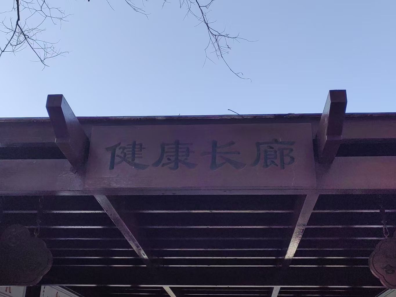 健康长廊旅行图片 2