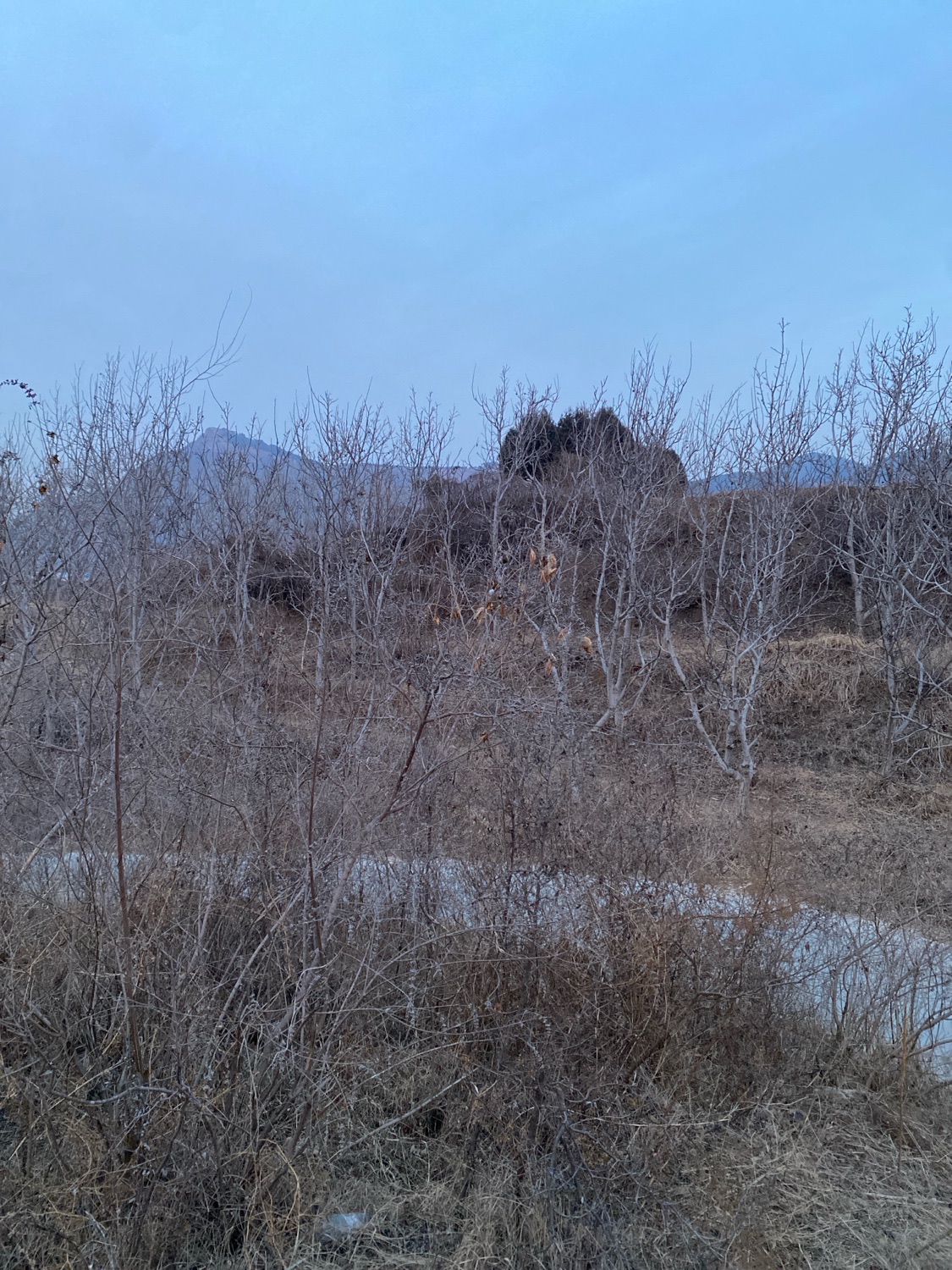 龟地遗址旅行图片 2