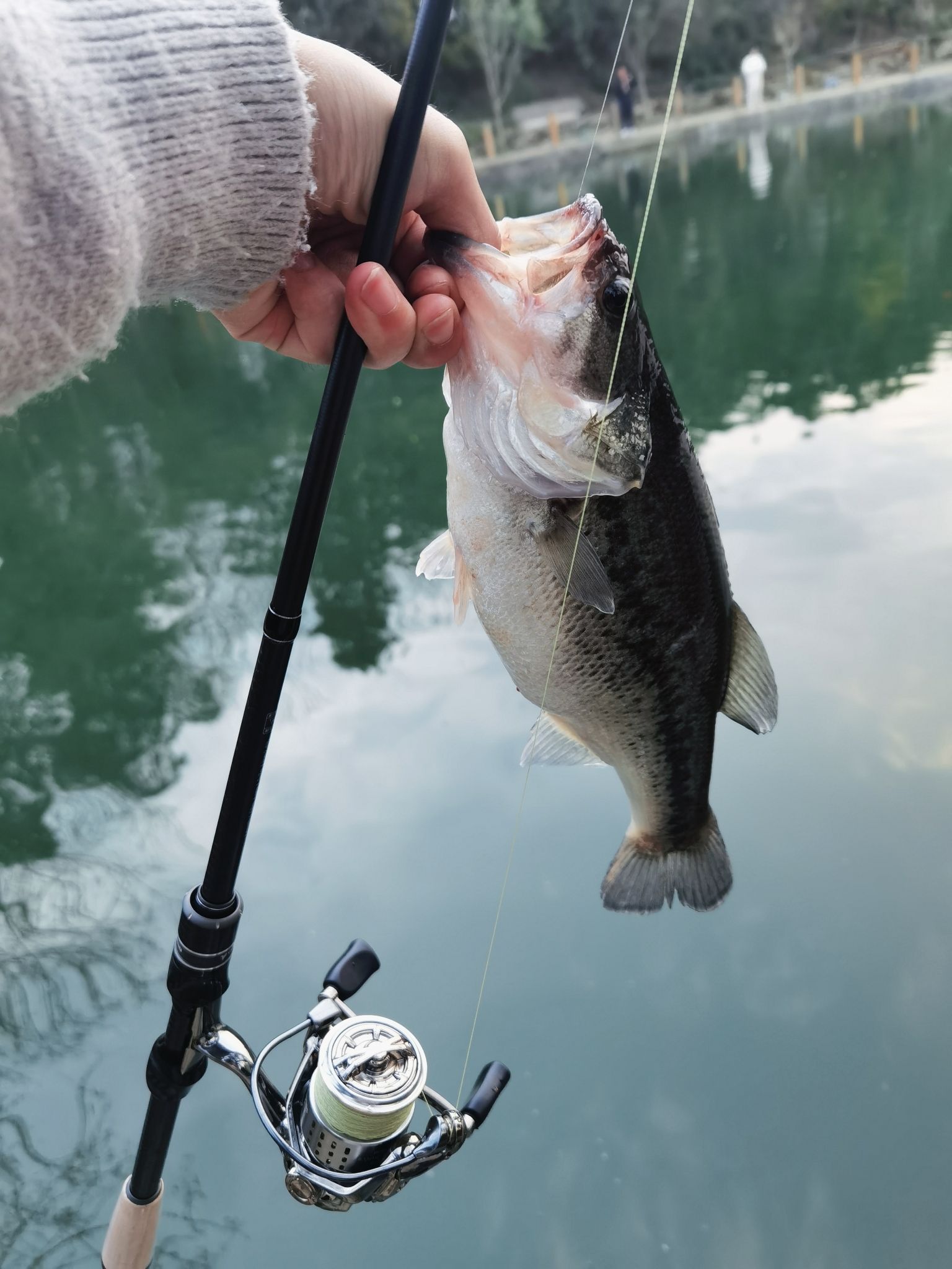 场地封面-放肆野路亚俱乐部