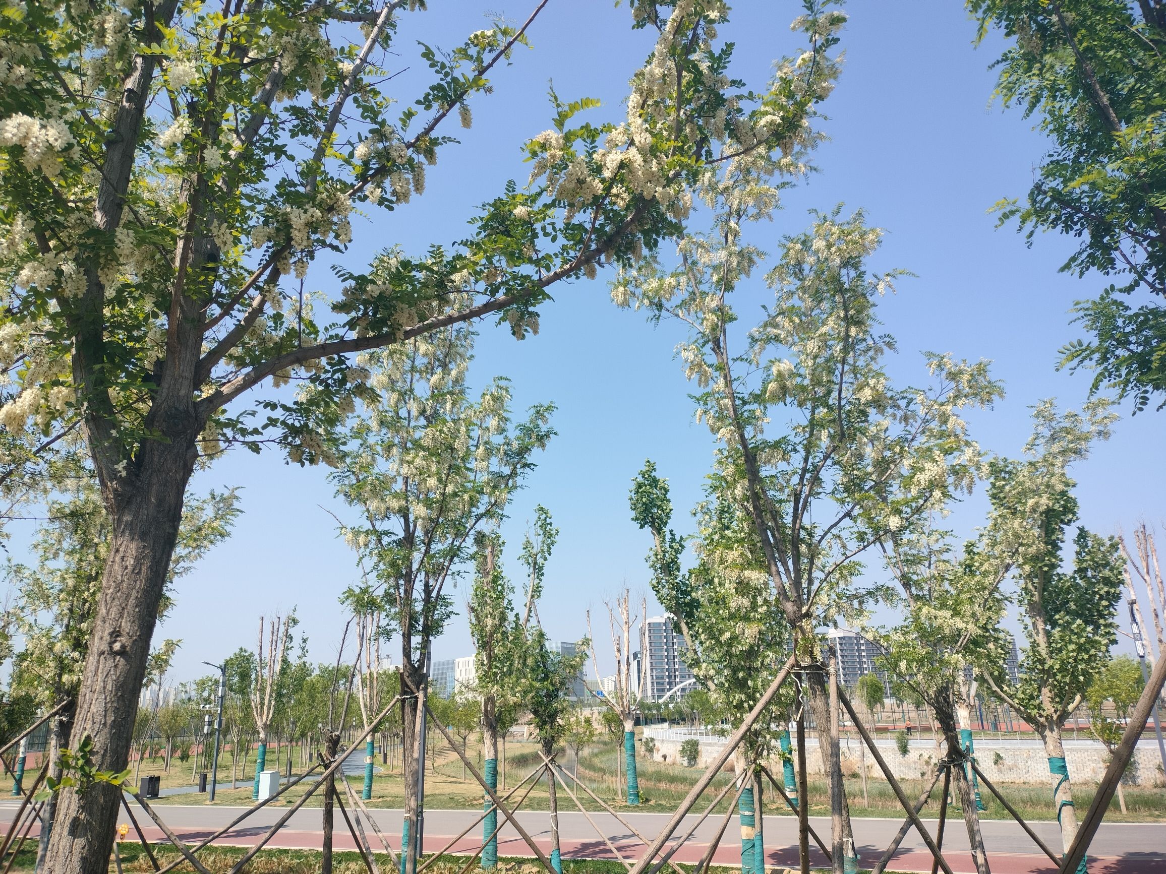 尧梦公园