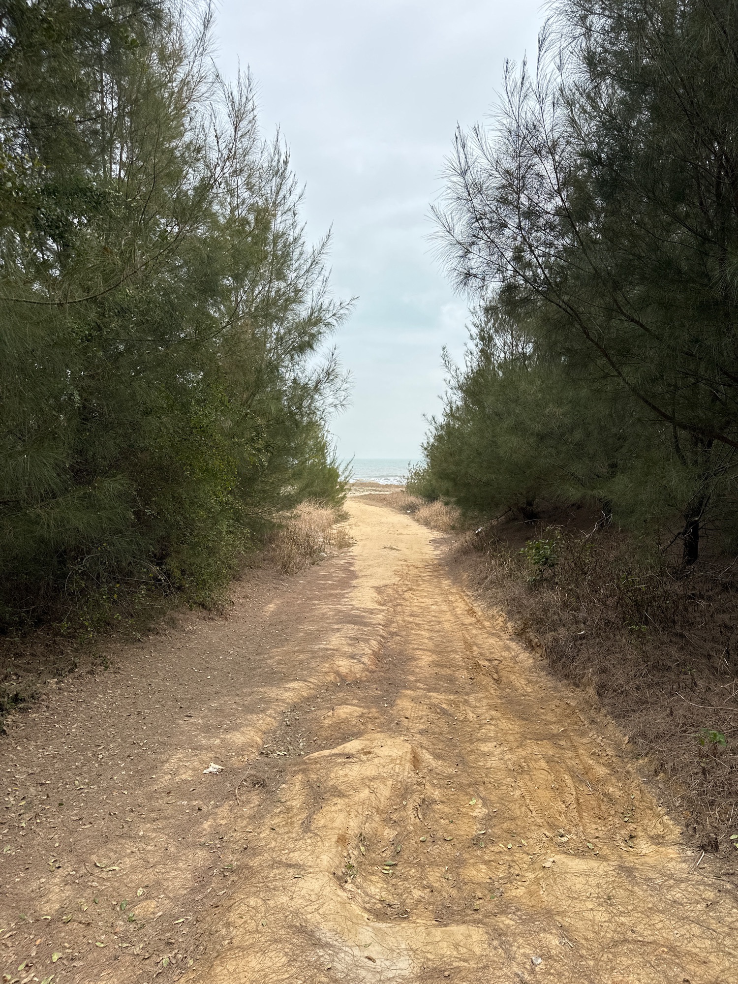 施公寮风车岛旅游景区浅水湾沙滩旅行图片 1