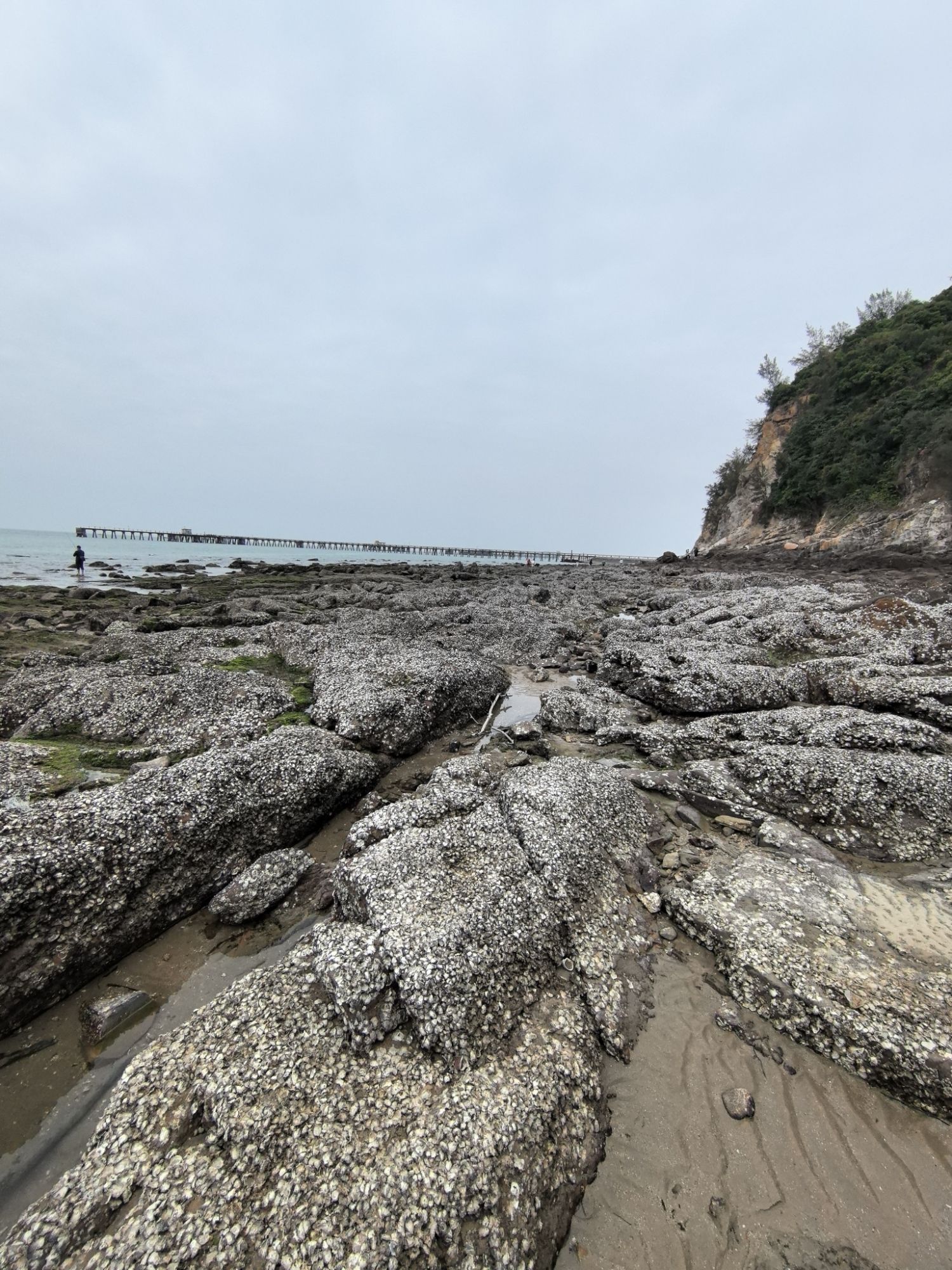 冠岭幸福湾旅行图片 1