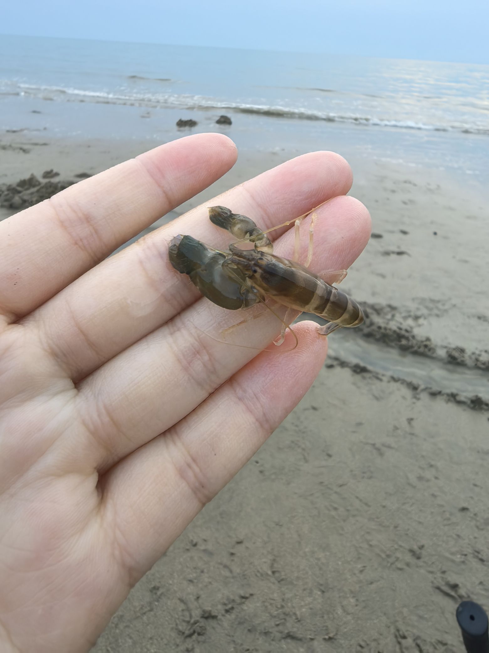 冠岭幸福湾旅行图片 3