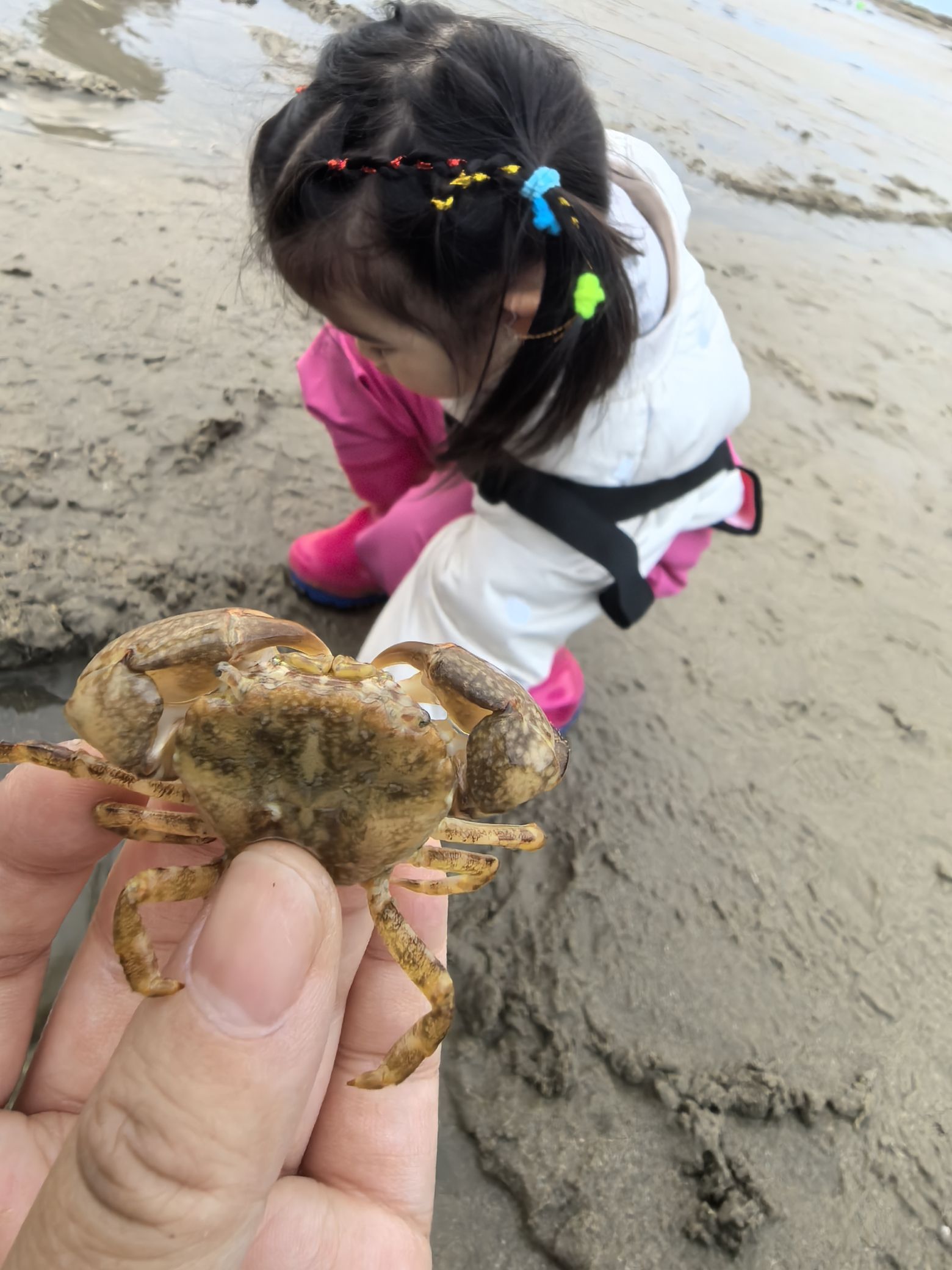 冠岭幸福湾旅行图片 1