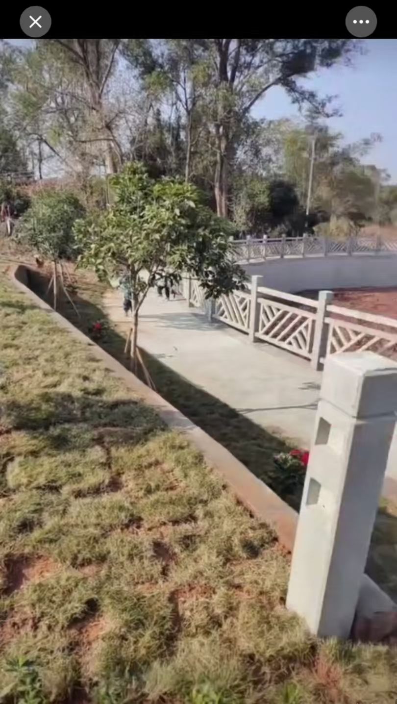 牛古龙文化广场旅行图片 2
