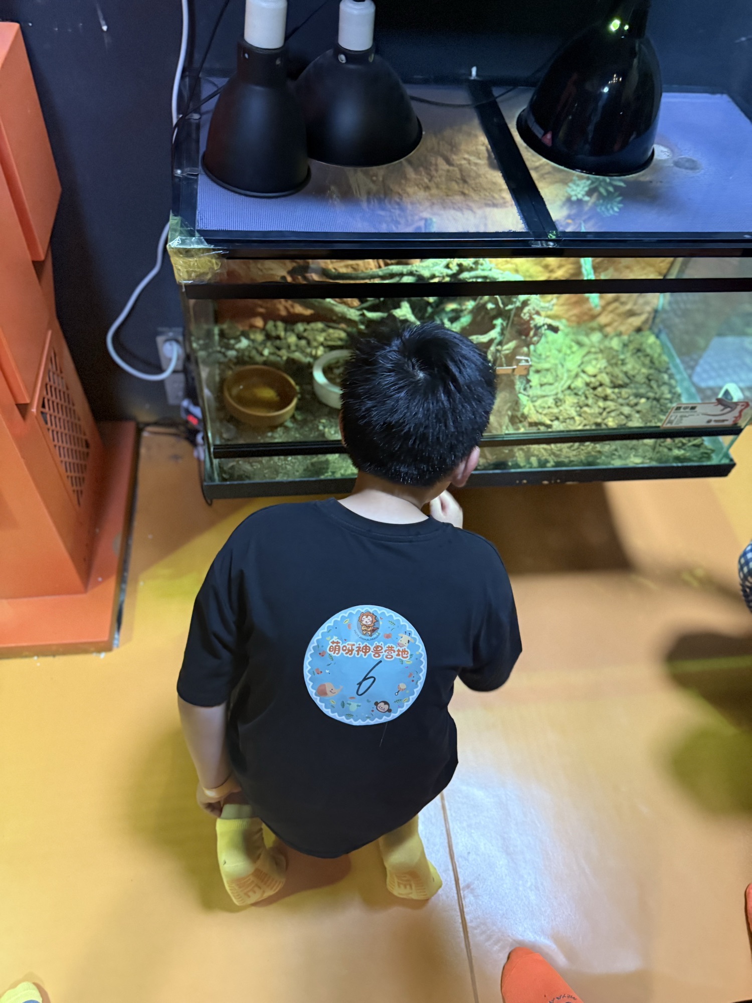 萌呀神兽营地(杭州店)