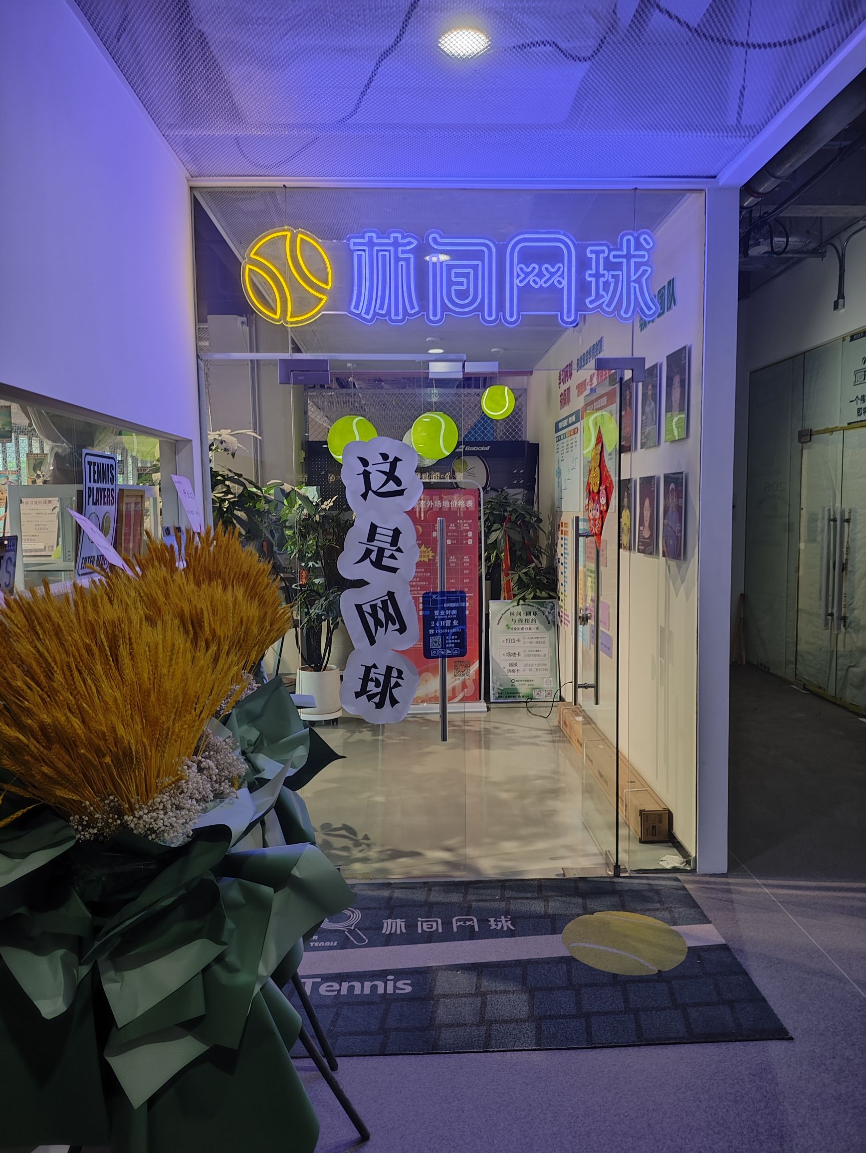 场地封面-林间网球