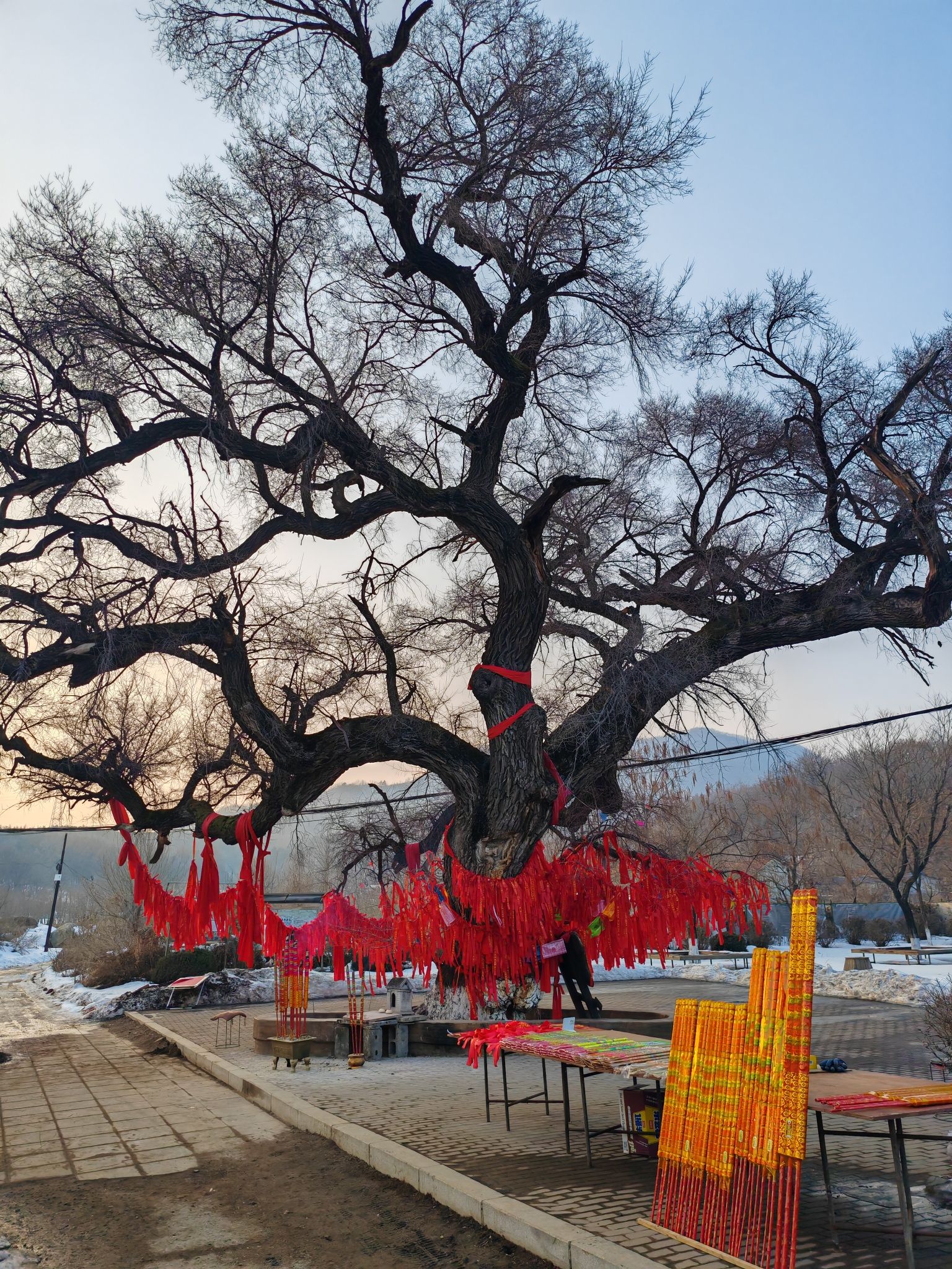 仙榆迎客旅行图片 1