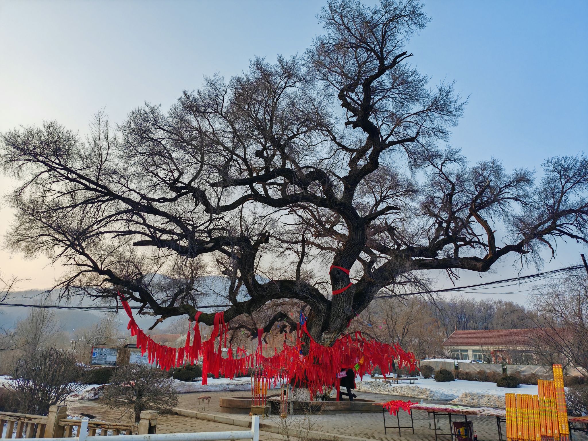 仙榆迎客旅行图片 2