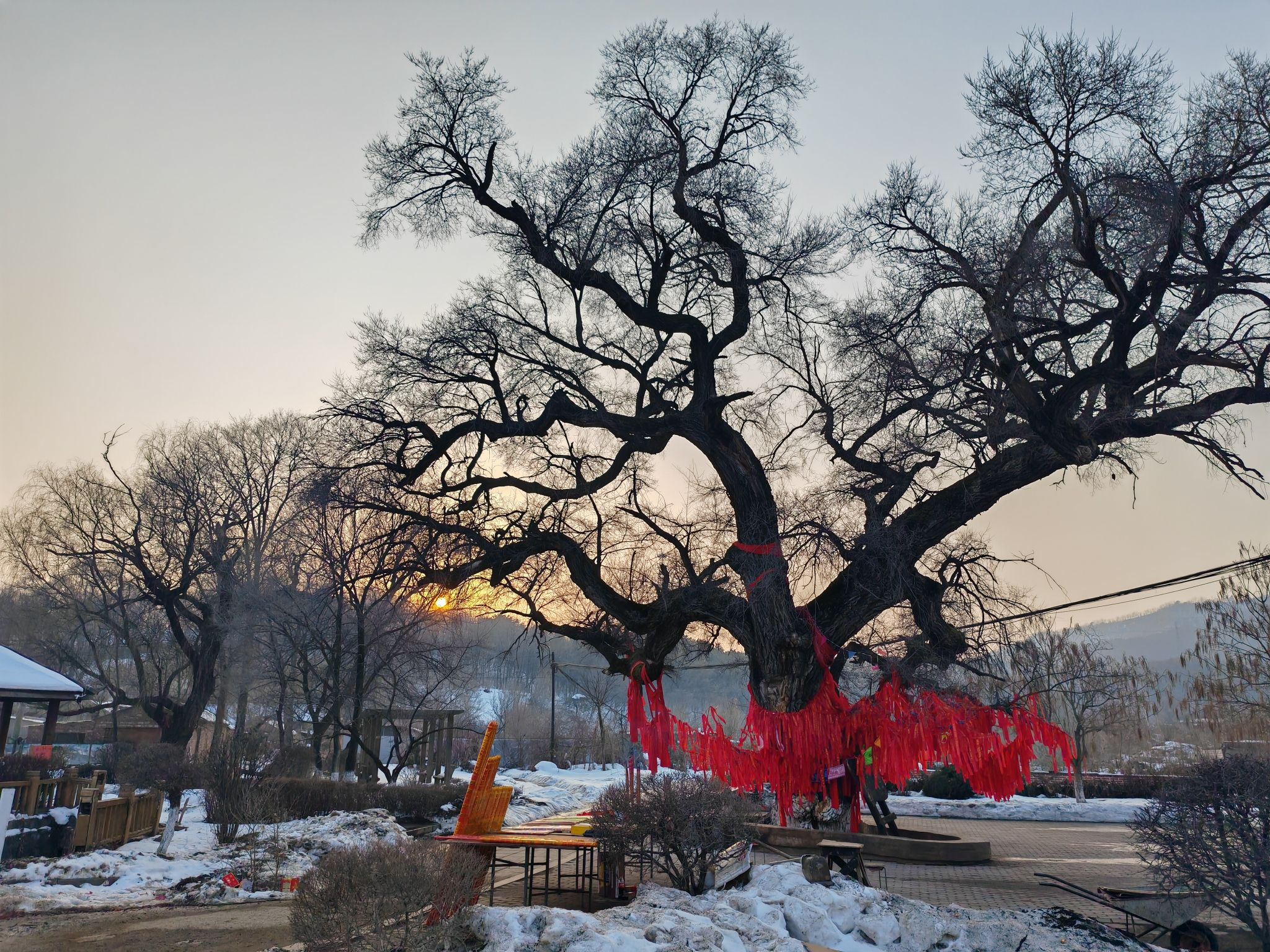 仙榆迎客旅行图片 3