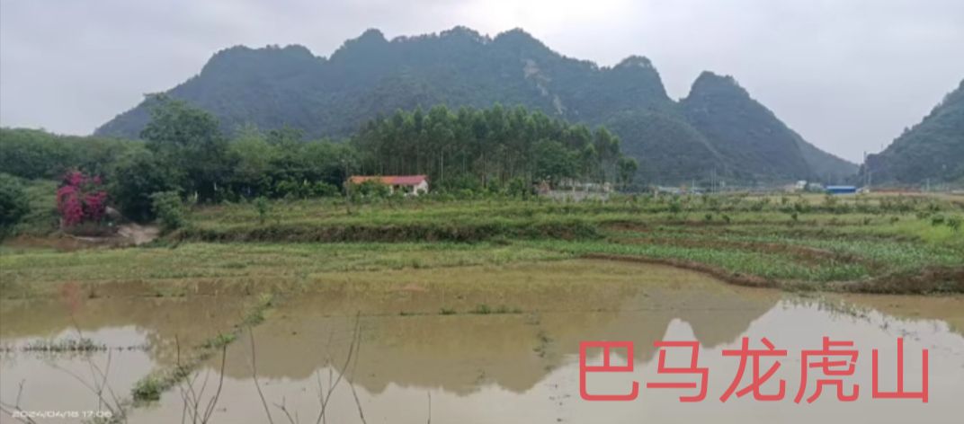 巴马瑶族自治县龙虎山旅行图片 1