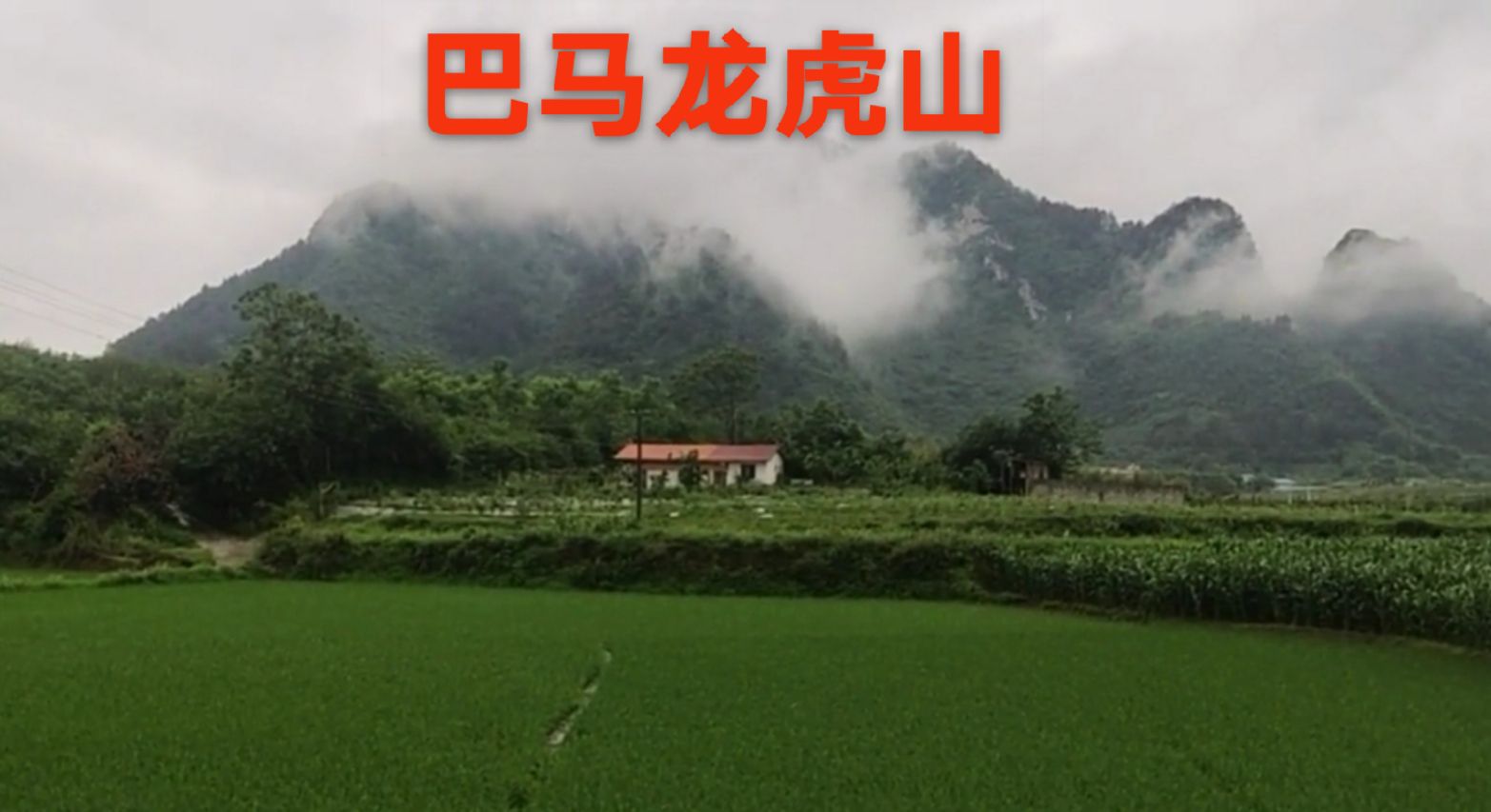 巴马瑶族自治县龙虎山旅行图片 2