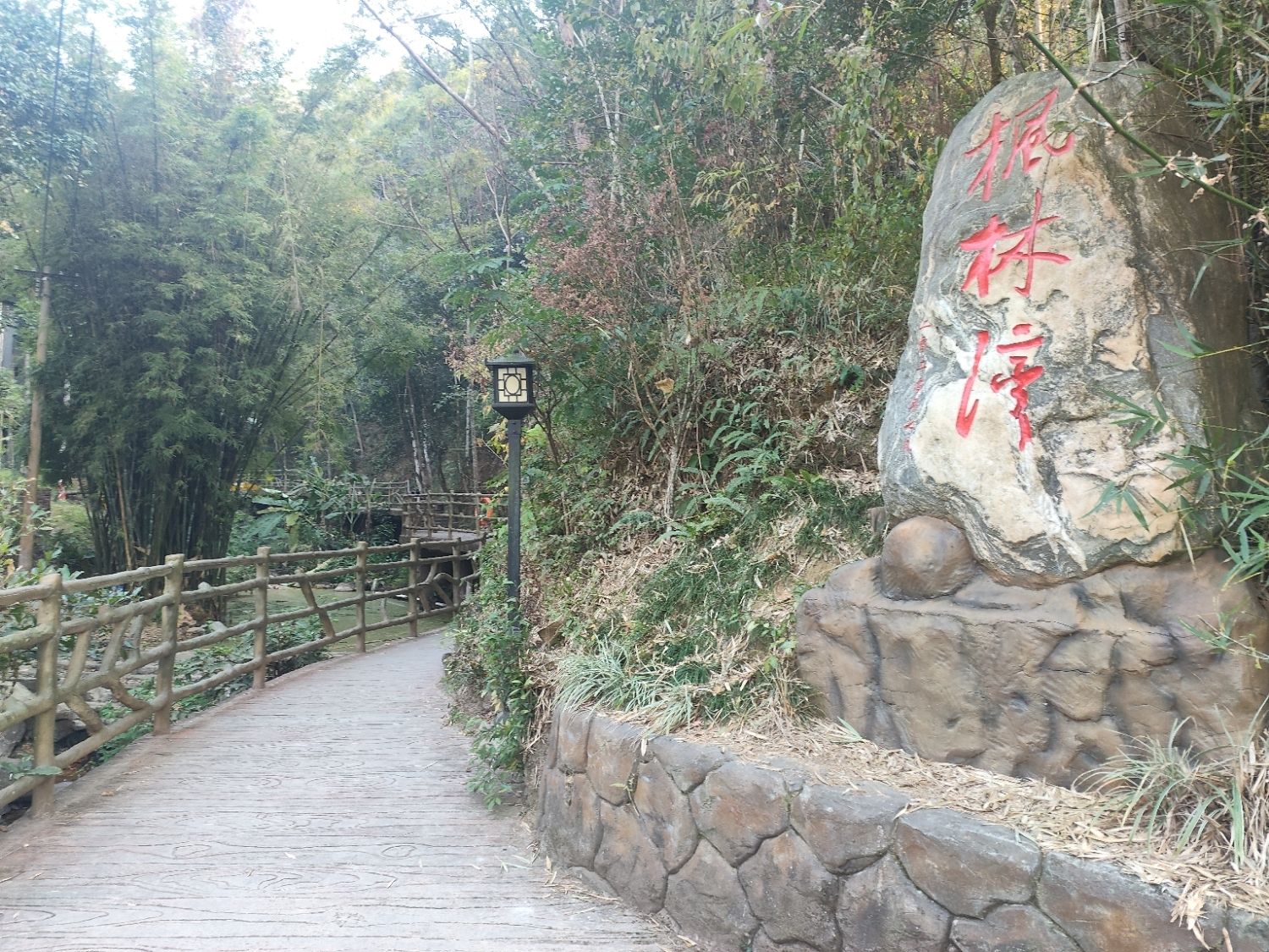 枫林湾清凉山郊野公园旅行图片 1