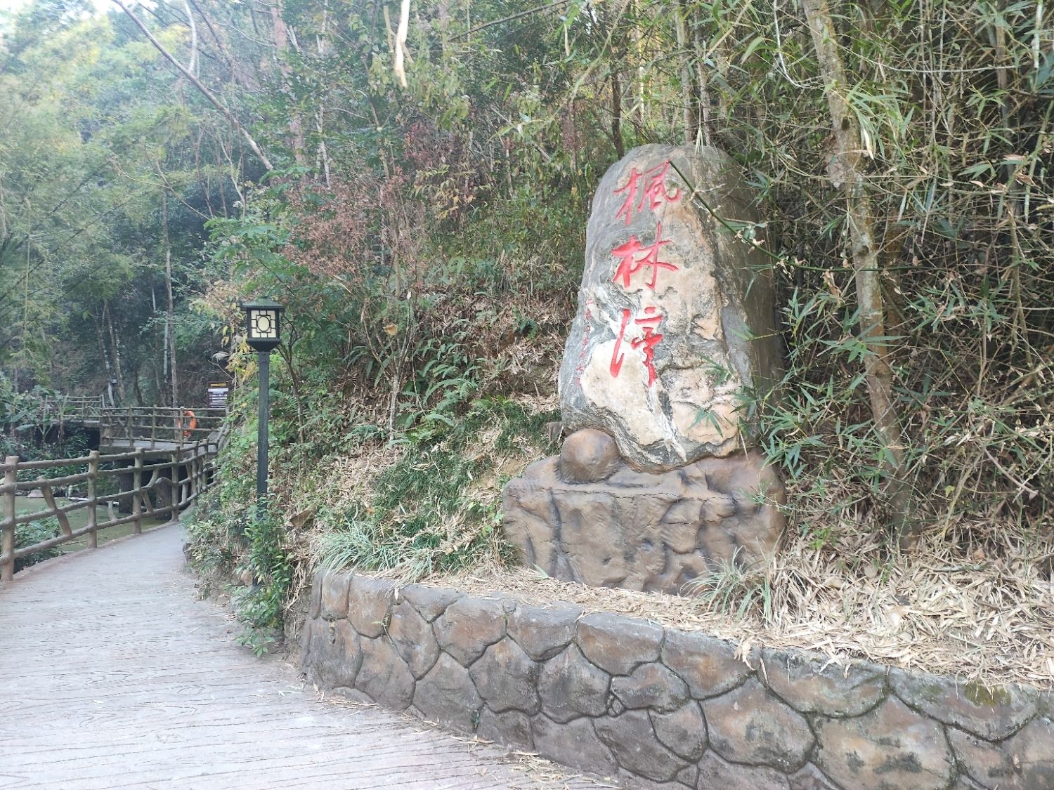 枫林湾清凉山郊野公园旅行图片 3