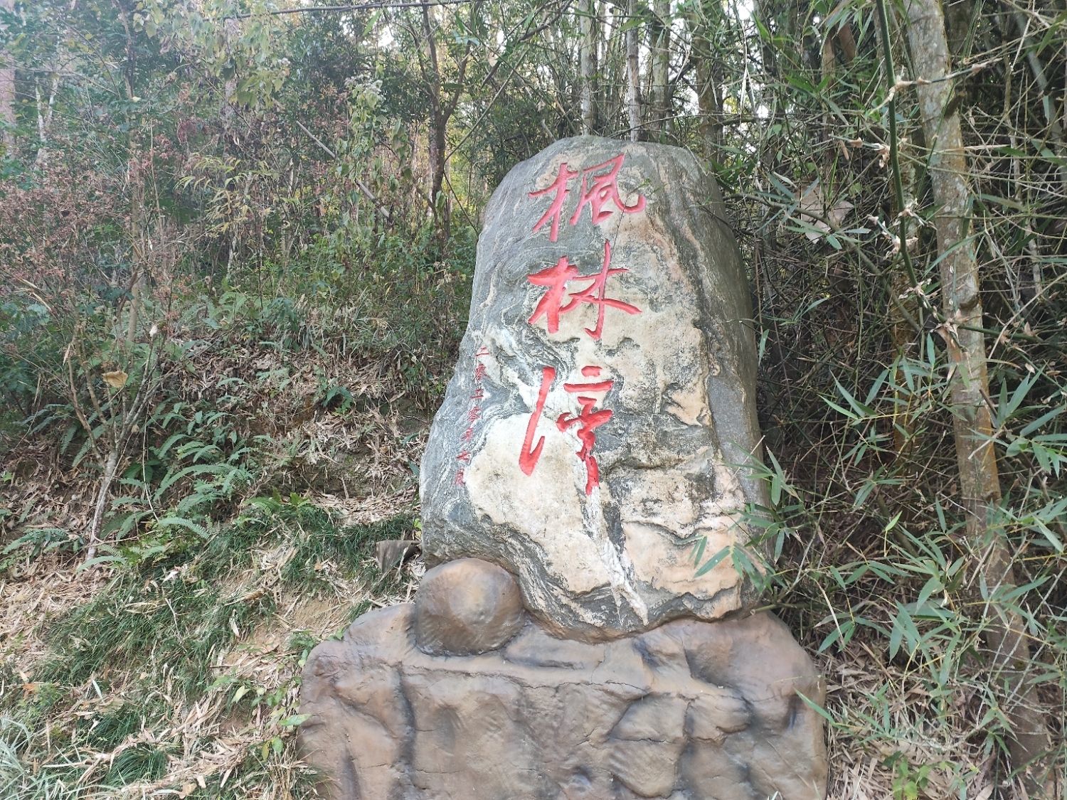 枫林湾清凉山郊野公园旅行图片 2