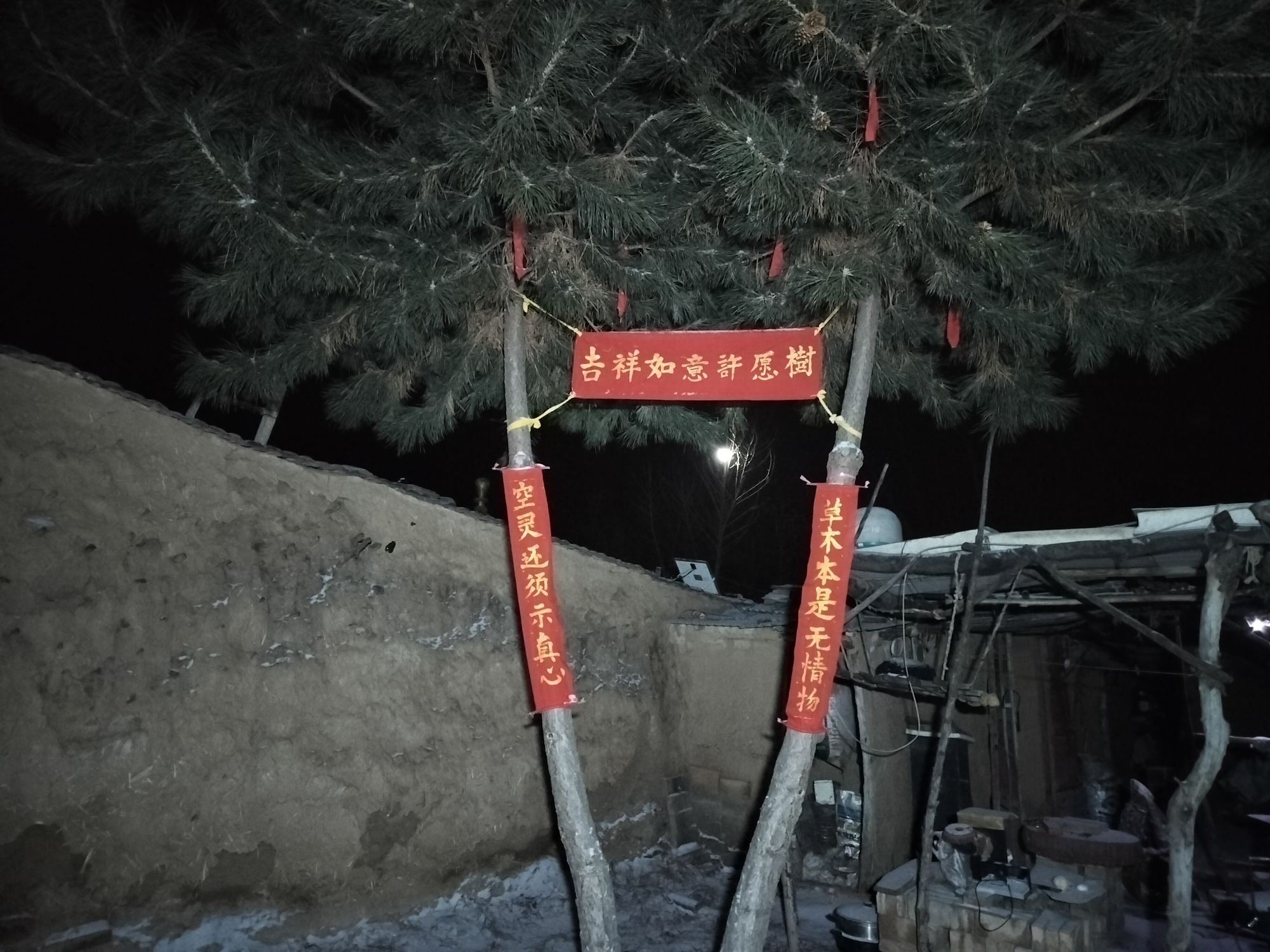 吉祥如意许愿树旅行图片 1