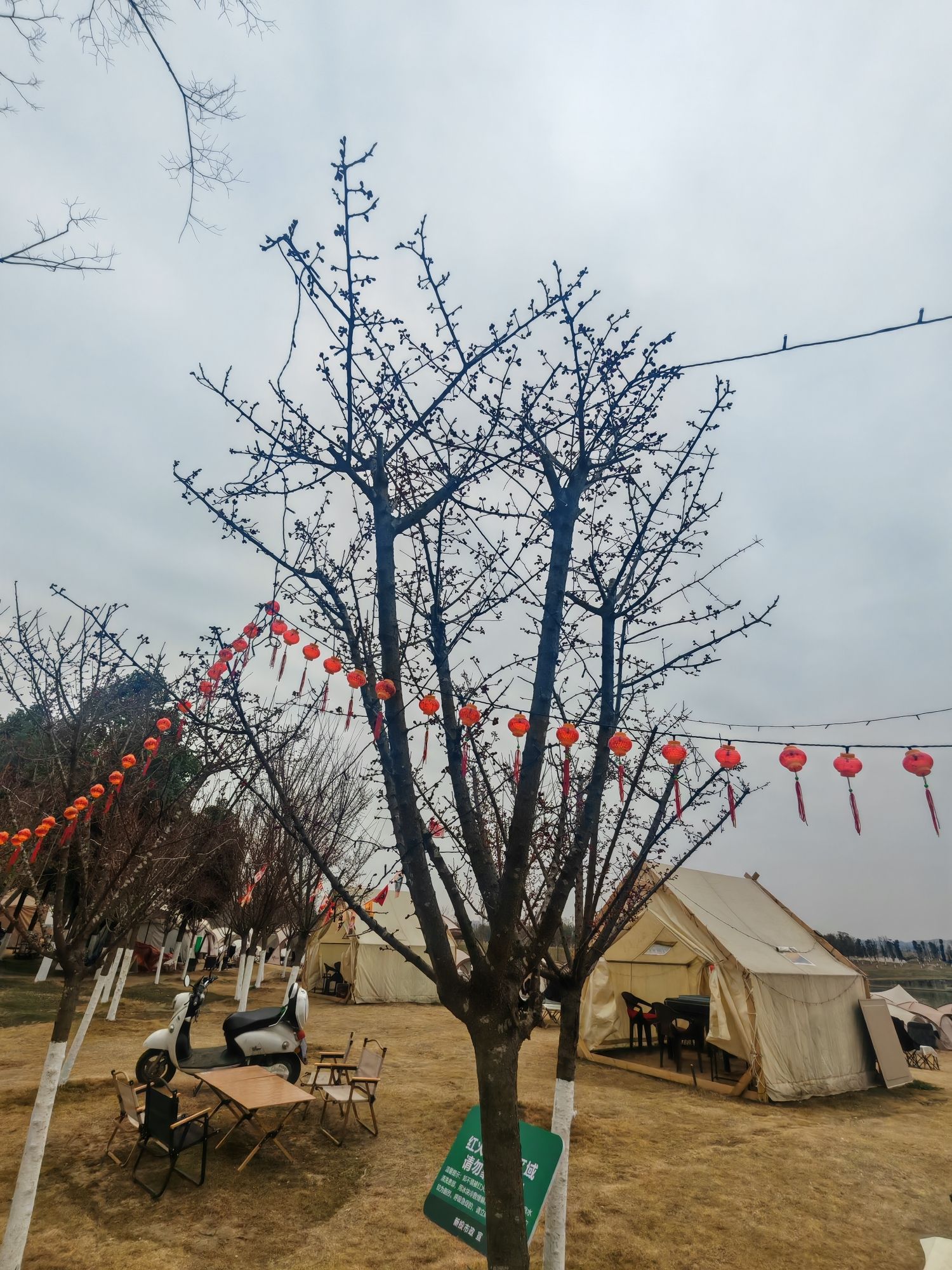 科技湖公园旅行图片 1