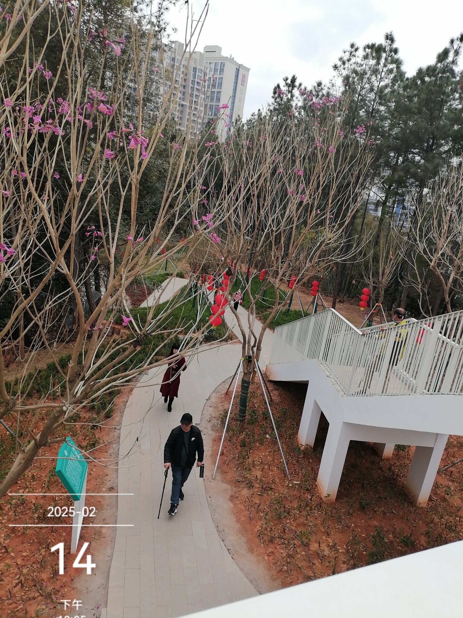 流云阁旅行图片 3