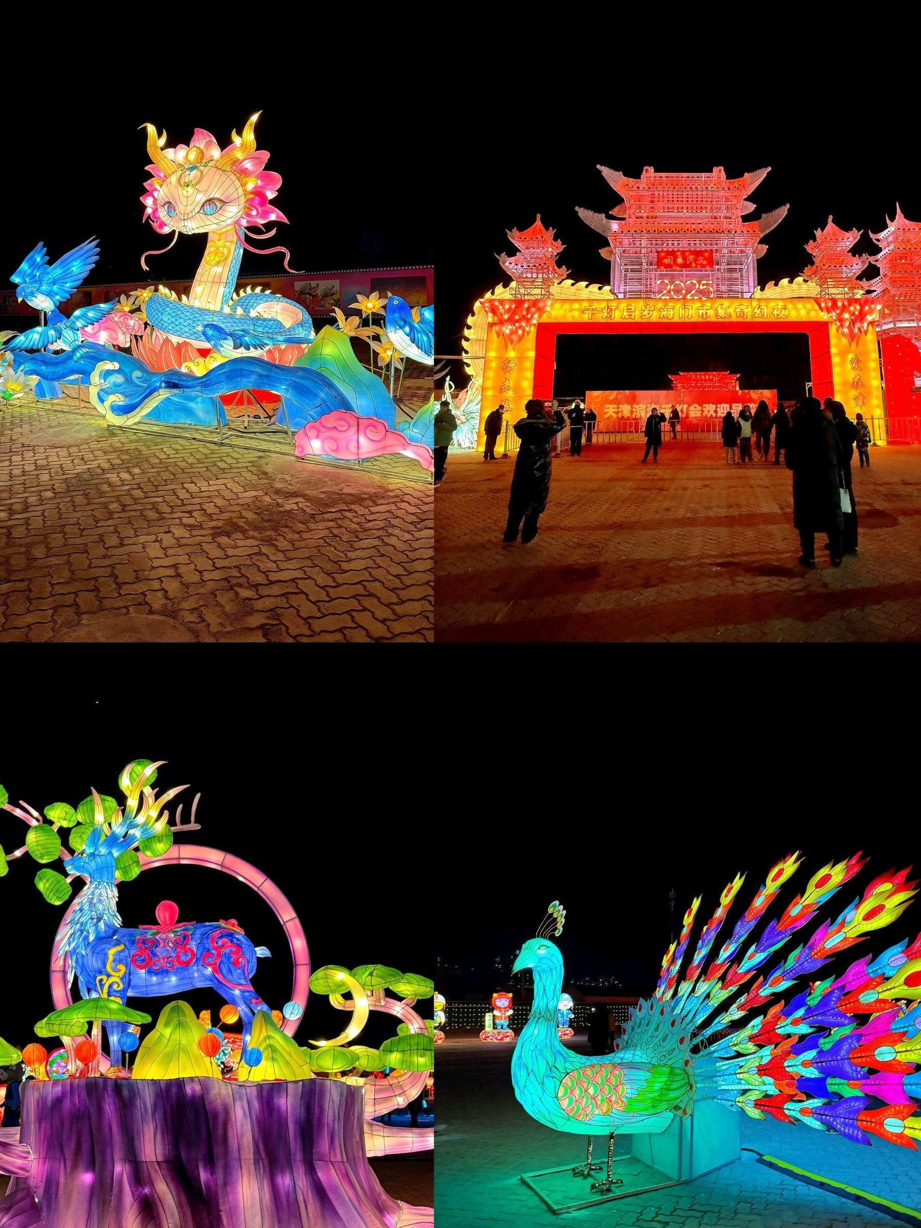天津千灯会旅行图片 3