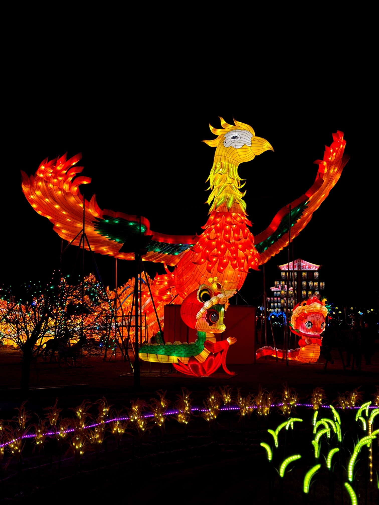 天津千灯会旅行图片 2