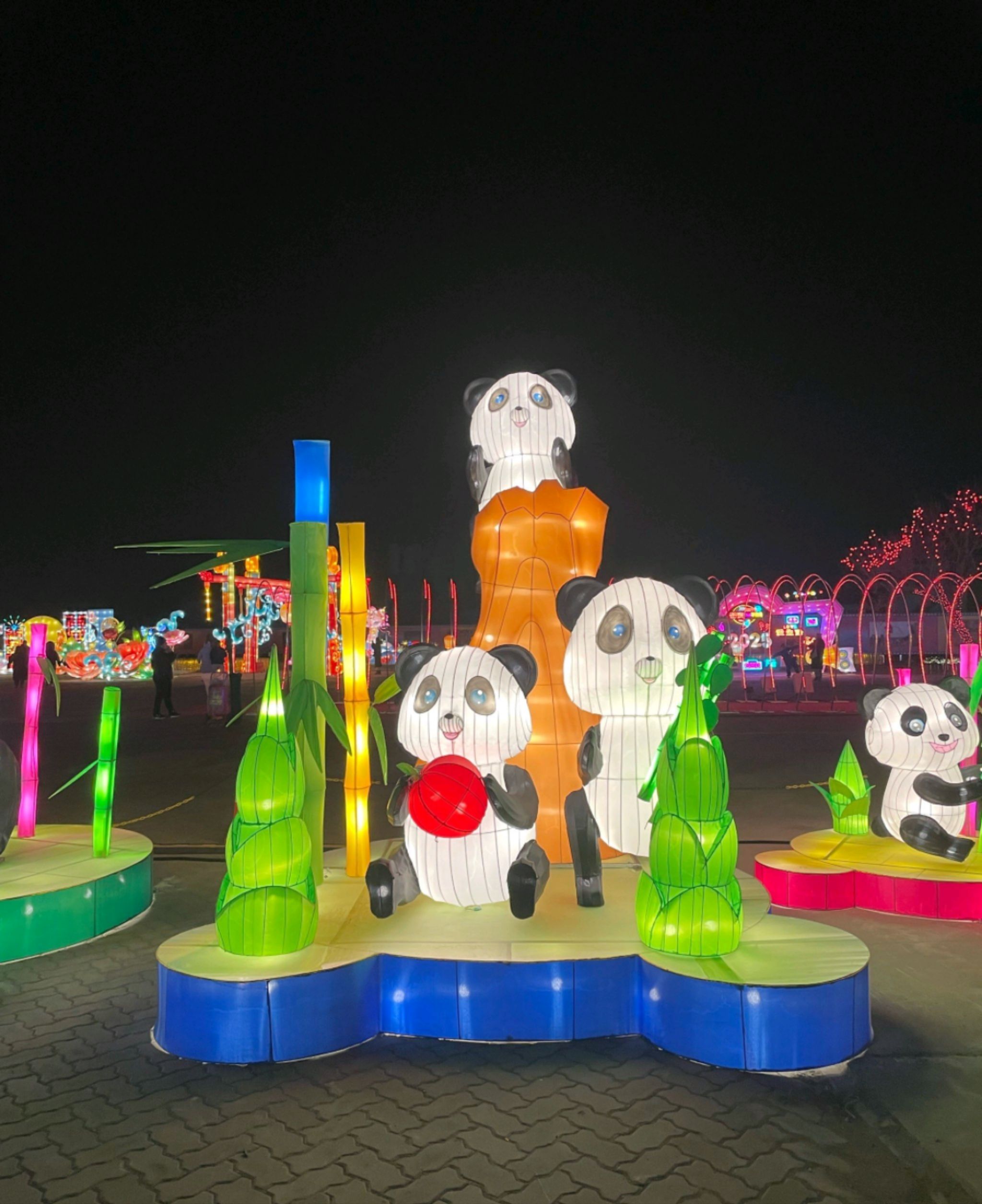 天津千灯会旅行图片 1