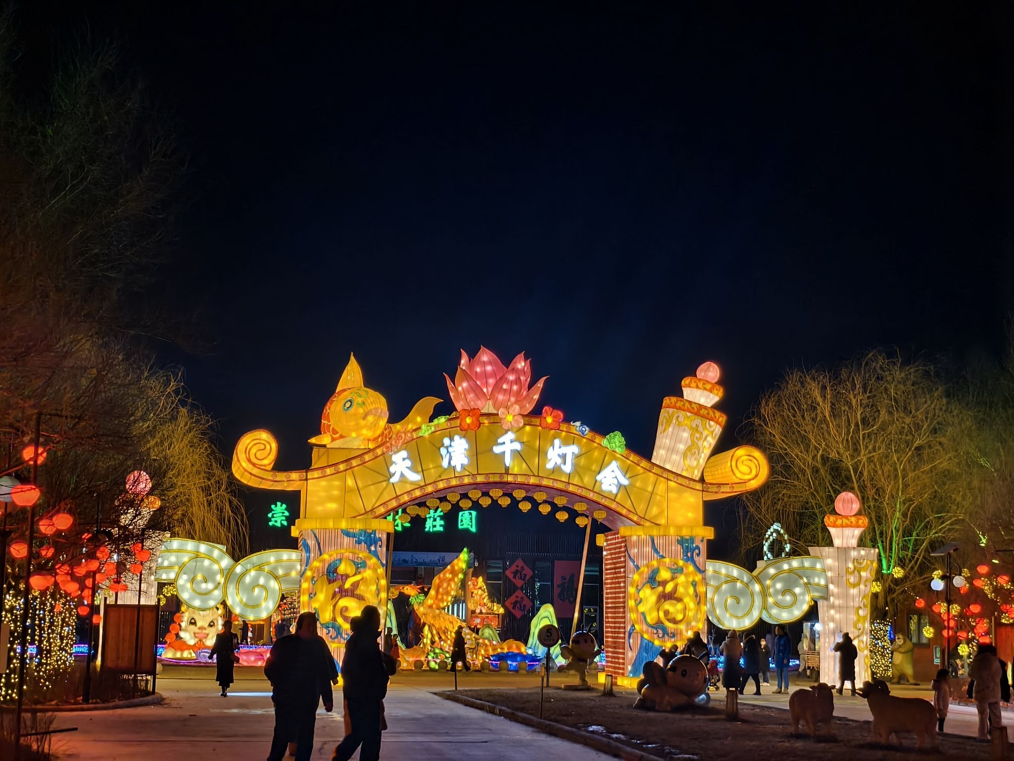 天津千灯会旅行图片 2