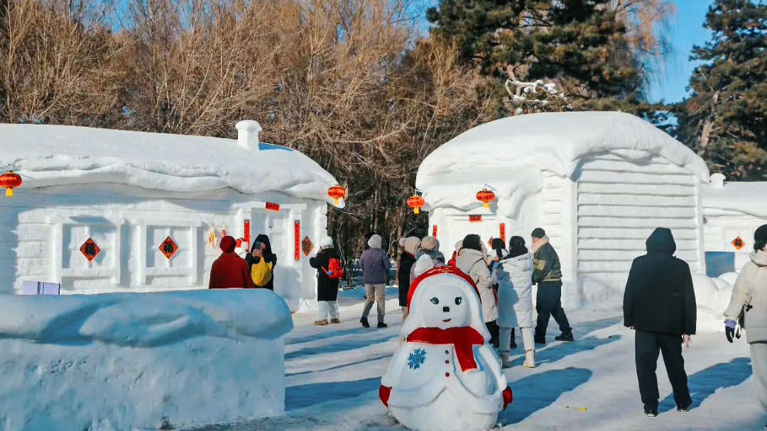 南湖雪房子旅行图片 1