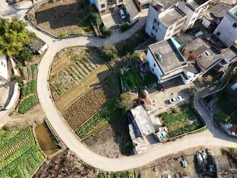 严氏宗祠旅行图片 2