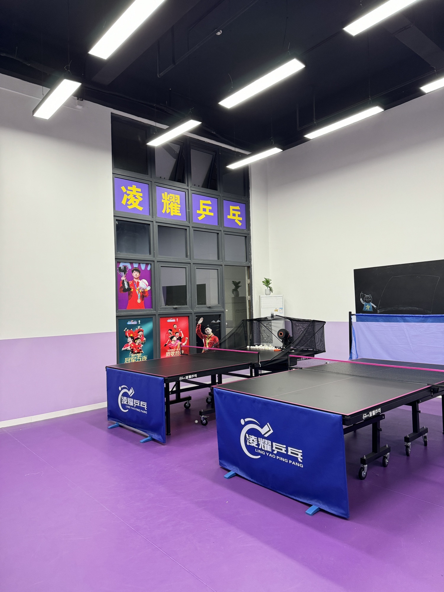 场地封面-凌耀乒乓