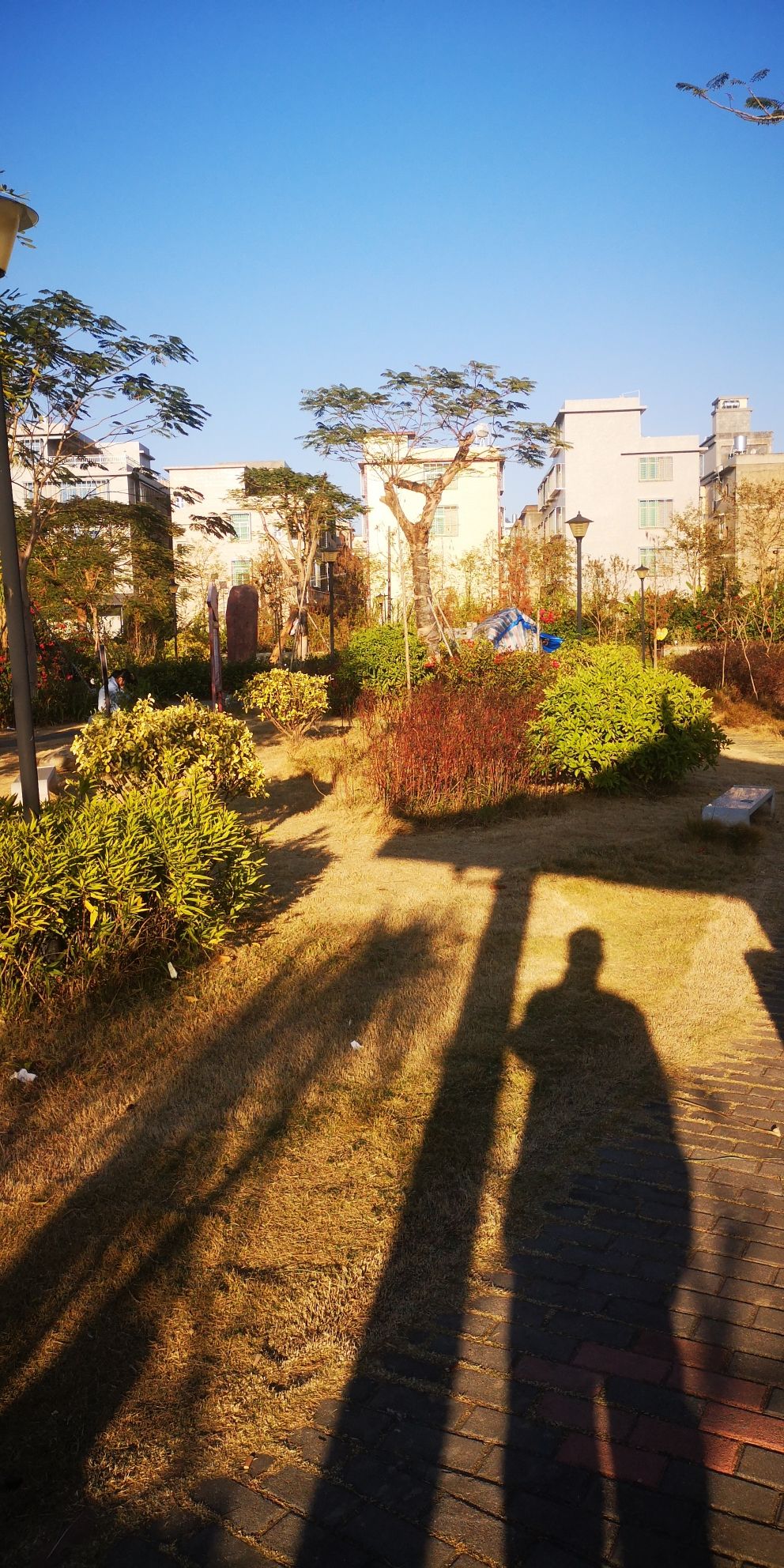 东园镇玉湖公园旅行图片 3