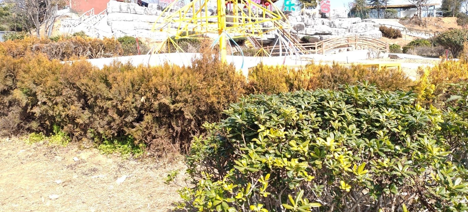 好运山景区旅行图片 3